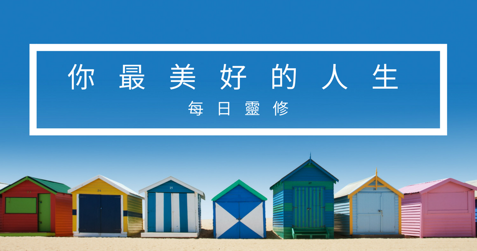 TC_DD Banner.png