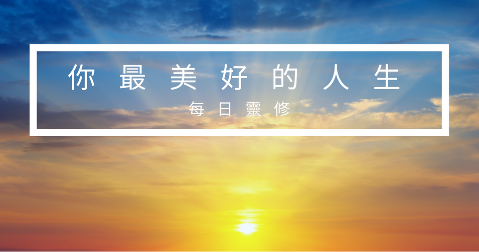 TC DD Banner.png