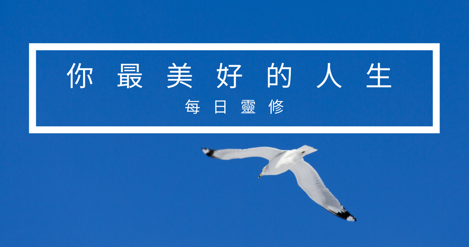DD Banner (1).png