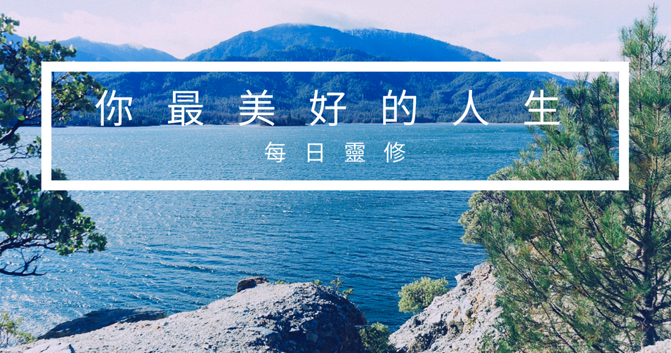 DD Banner (1).png