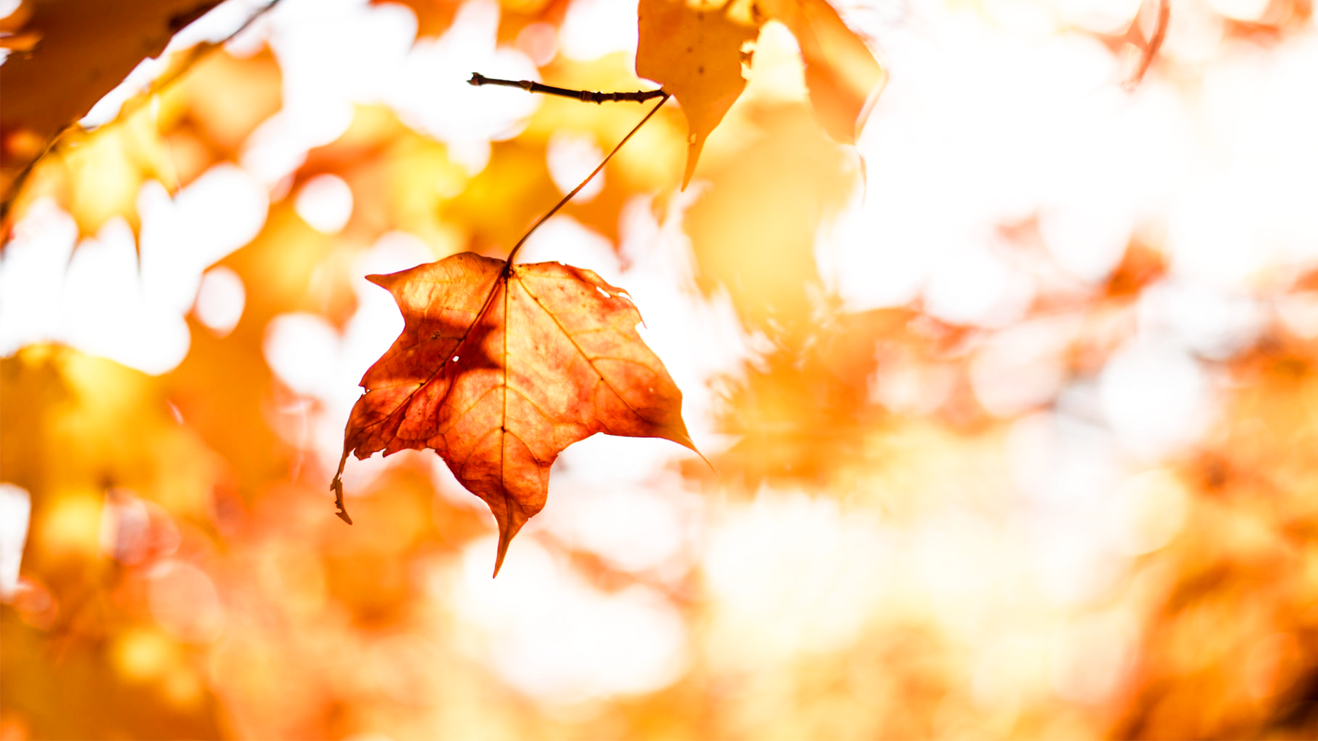 耶穌的義是無價的恩典