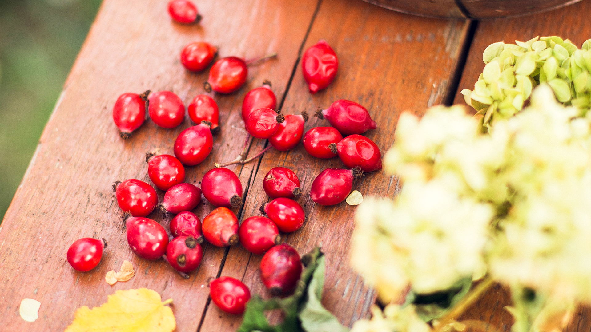 DON'T BE ROBBED OF RIGHTEOUSNESS 