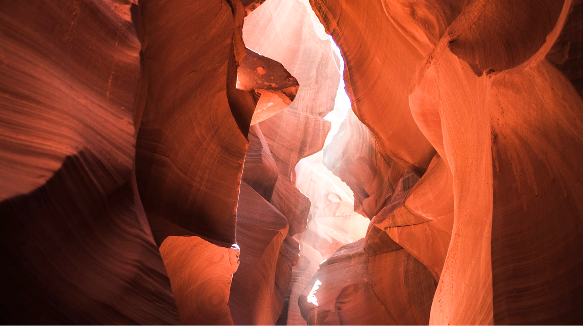 律法的目的是甚麼？