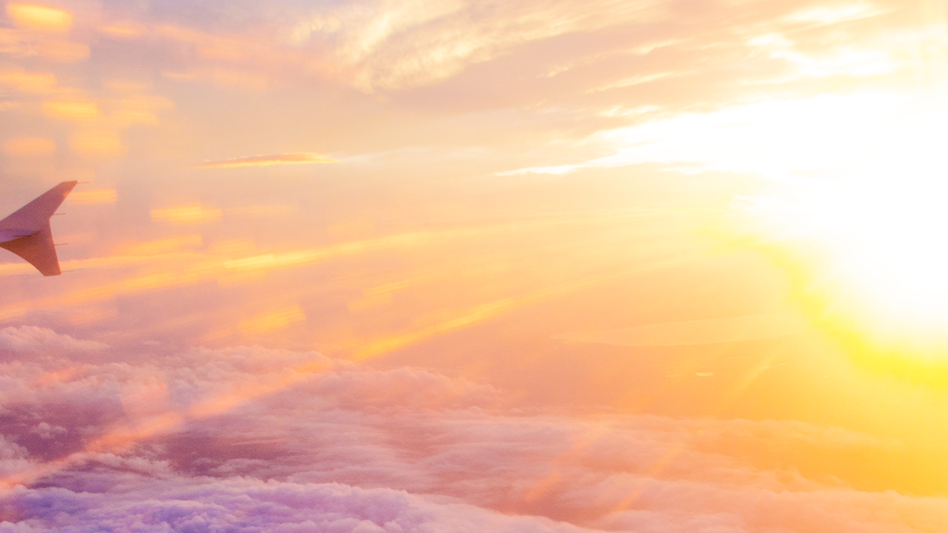 安息於神的旨意中