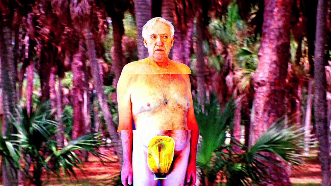 A BODY WITHOUT ORGANS