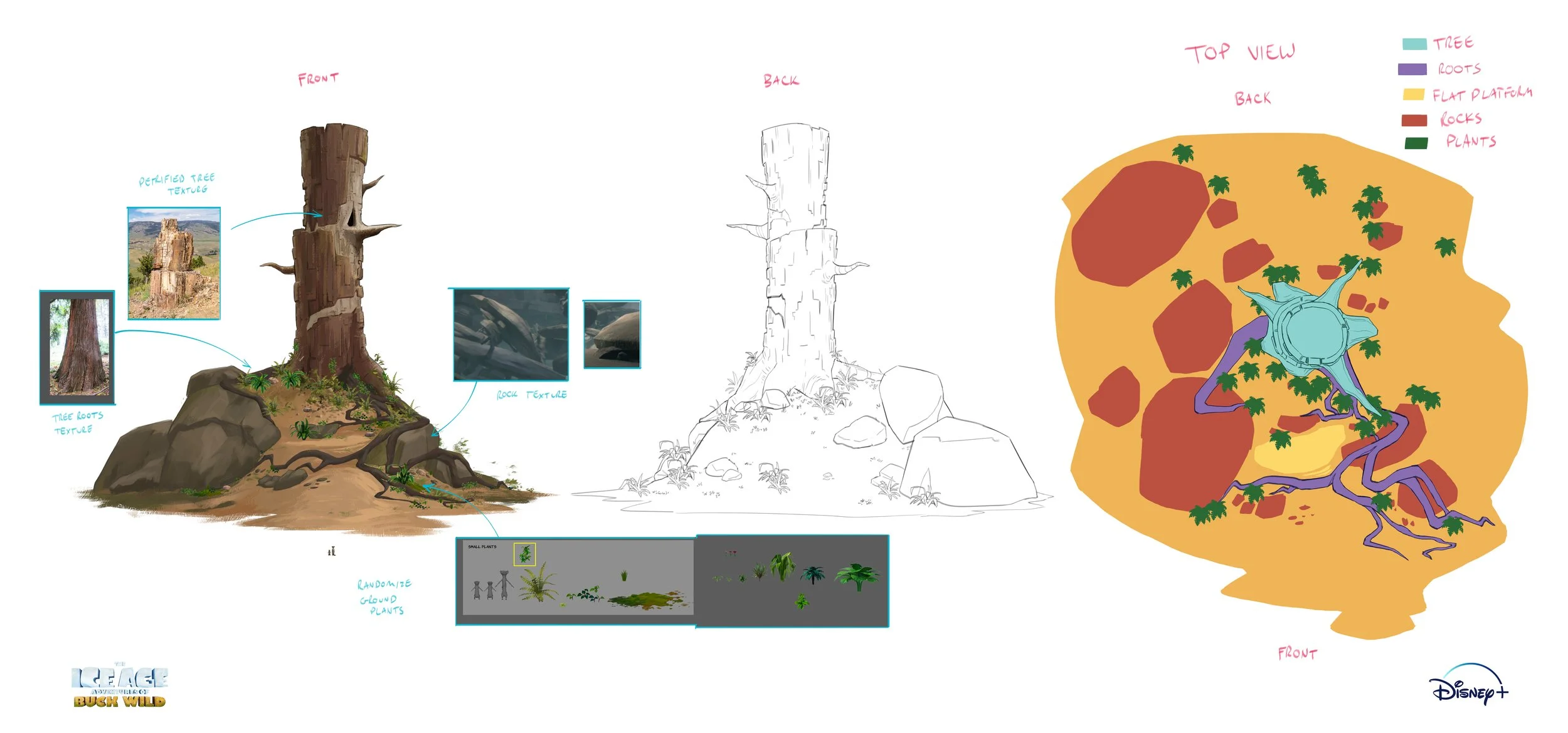 treeturnaround.jpg