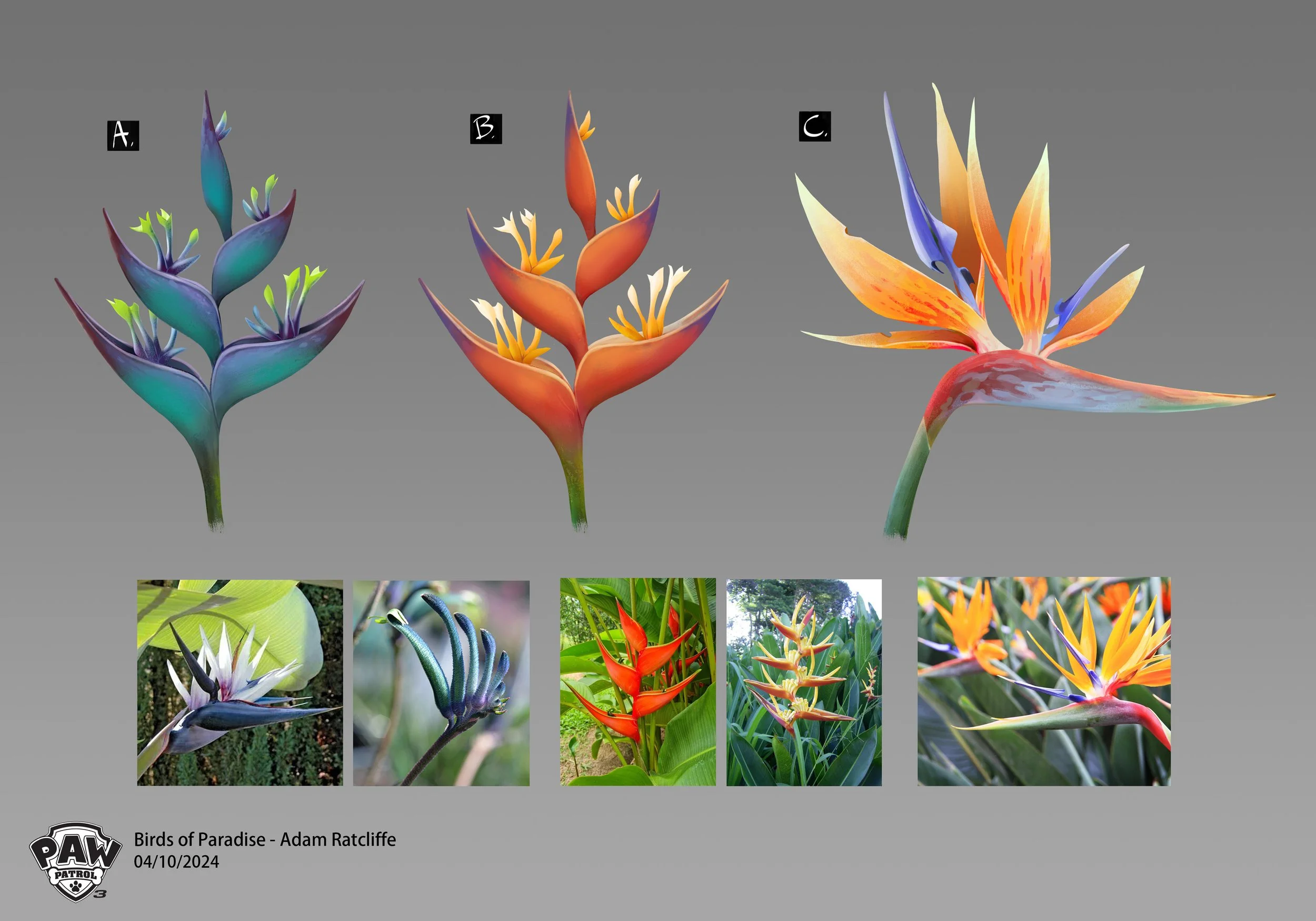 flowerJungleMain_BirdsofParadise_art_color_ratcliffea_240410_PAW3_v003.jpg