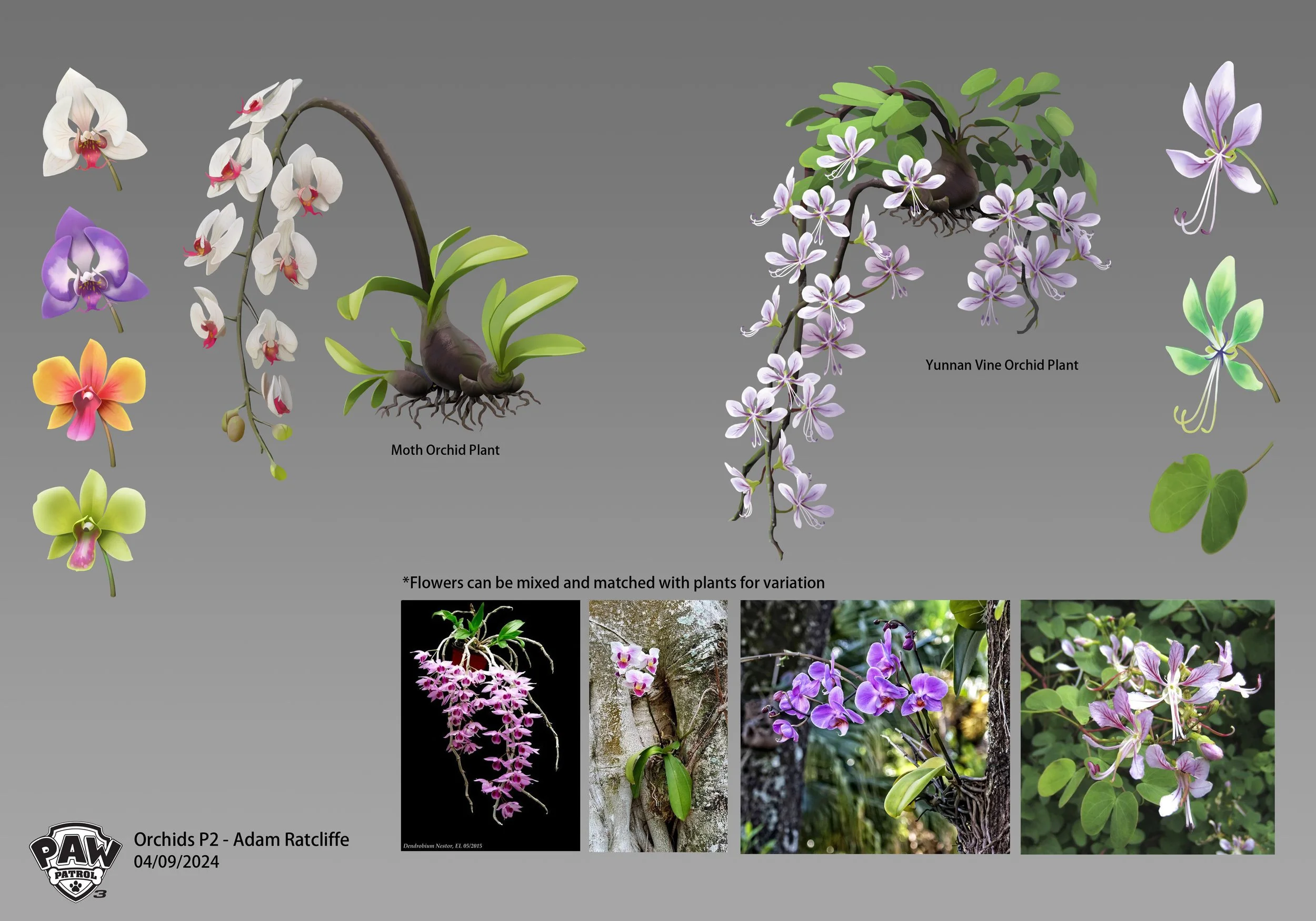 flowerJungleMain_Orchids_art_color_ratcliffea_240408_PAW3_v002_P2.jpg