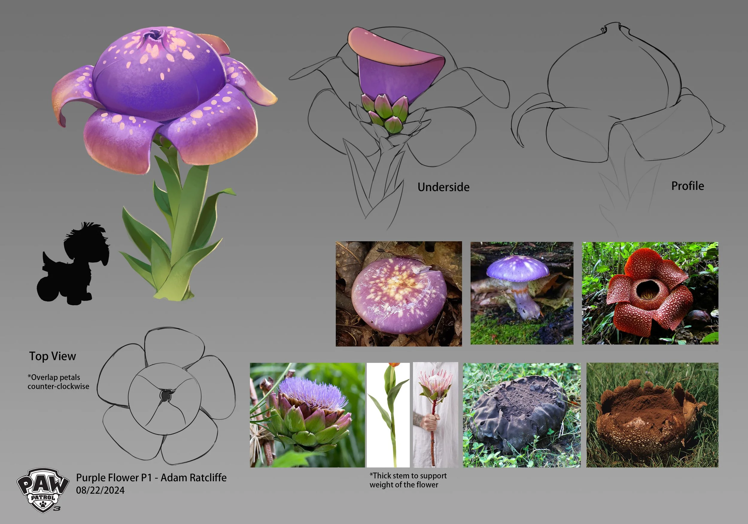 flowerPurpleBulbousA_art_design_ratcliffea_240916_PAW3_v006_P1.jpg