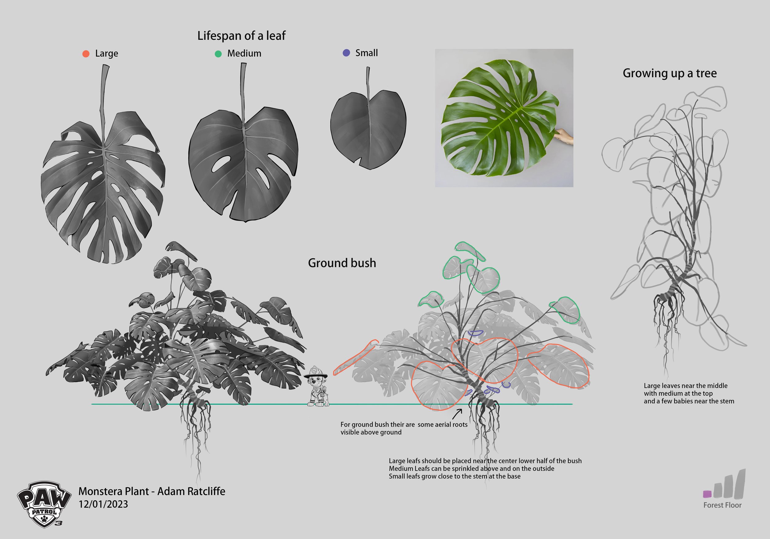 PAW3_ratcliffea_231130_MonsteraPlant_art_design_v002.jpg