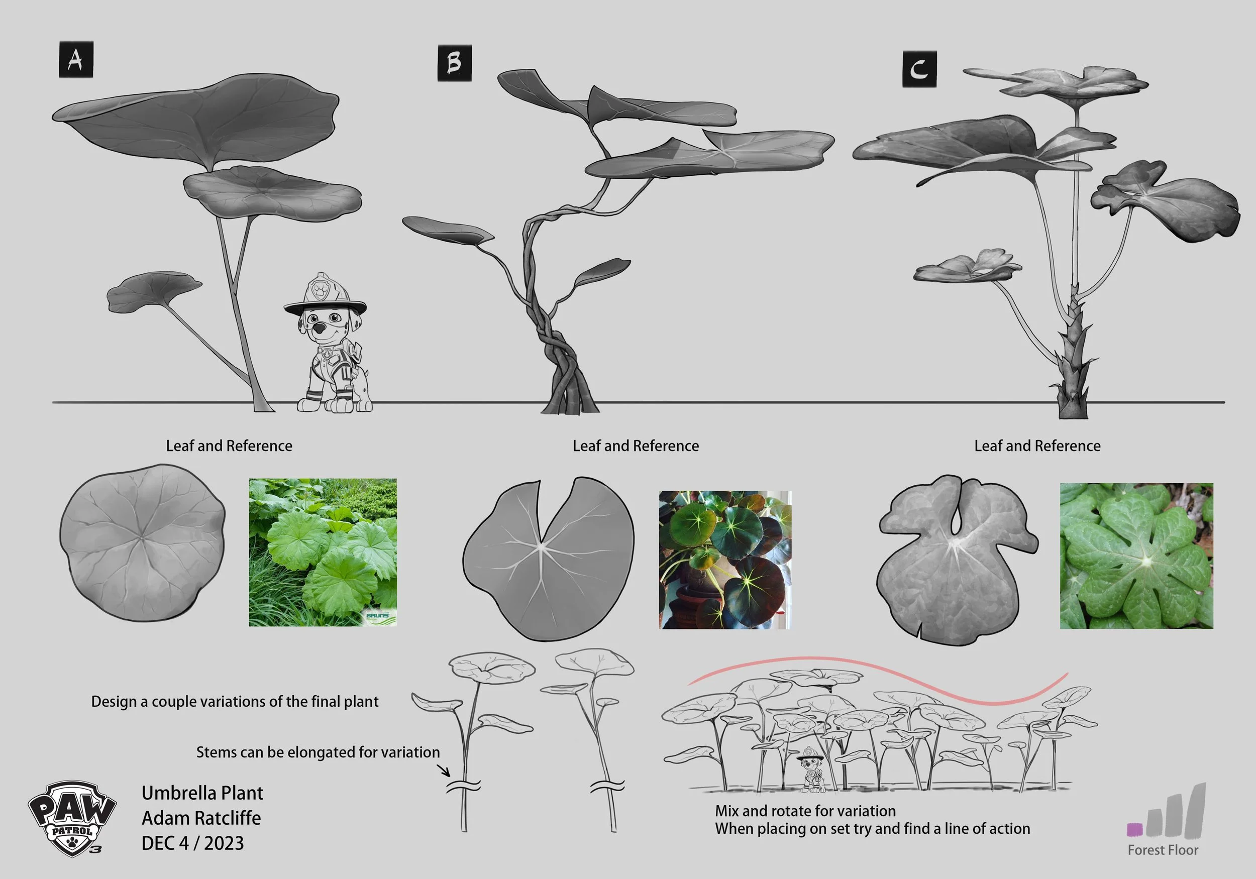 umbrellaplant_art_design_ratcliffea_231204_PAW3_v003.jpg