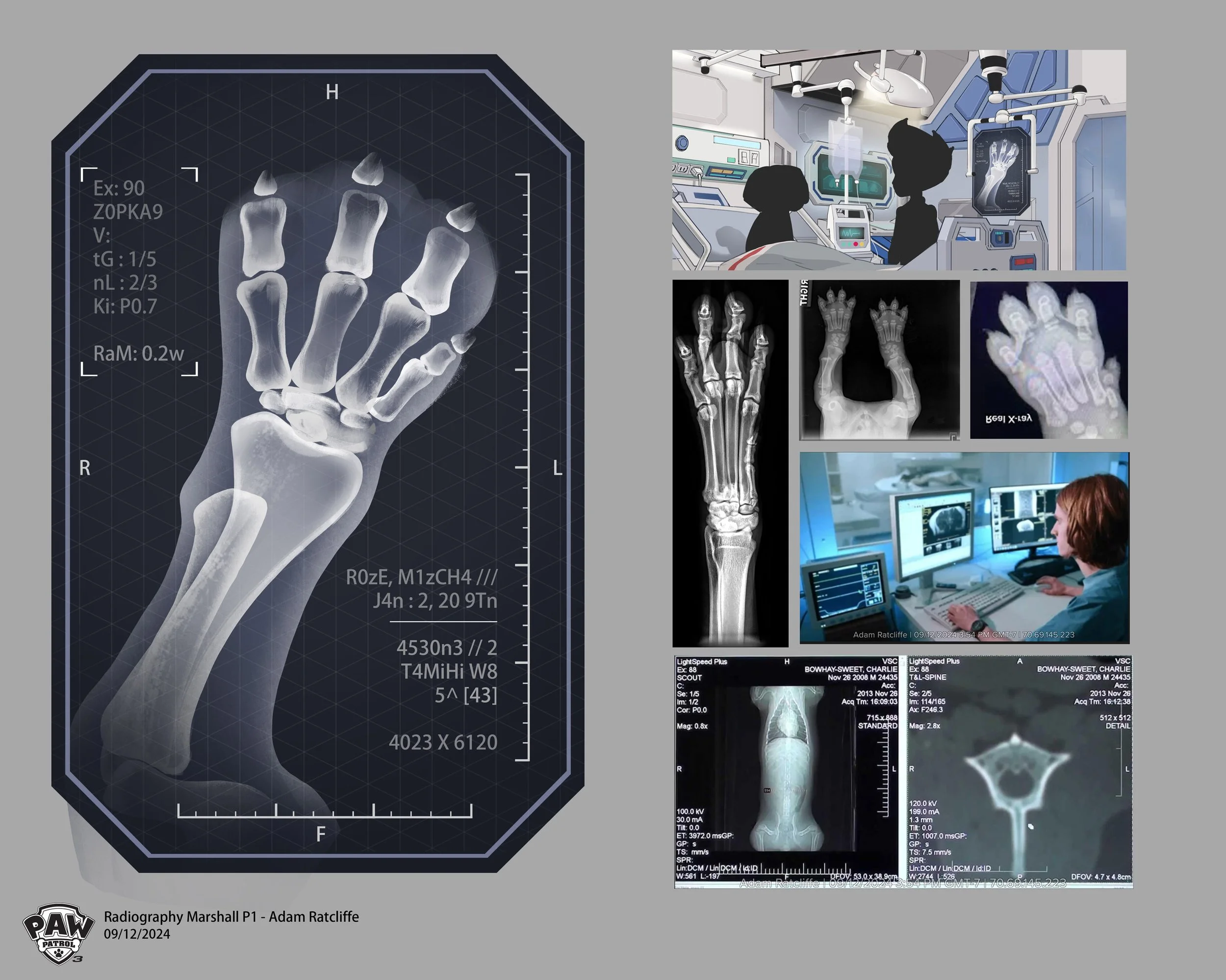 radiographyMarshall_art_design_ratcliffea_240912_PAW3_v002_P1_small.jpg