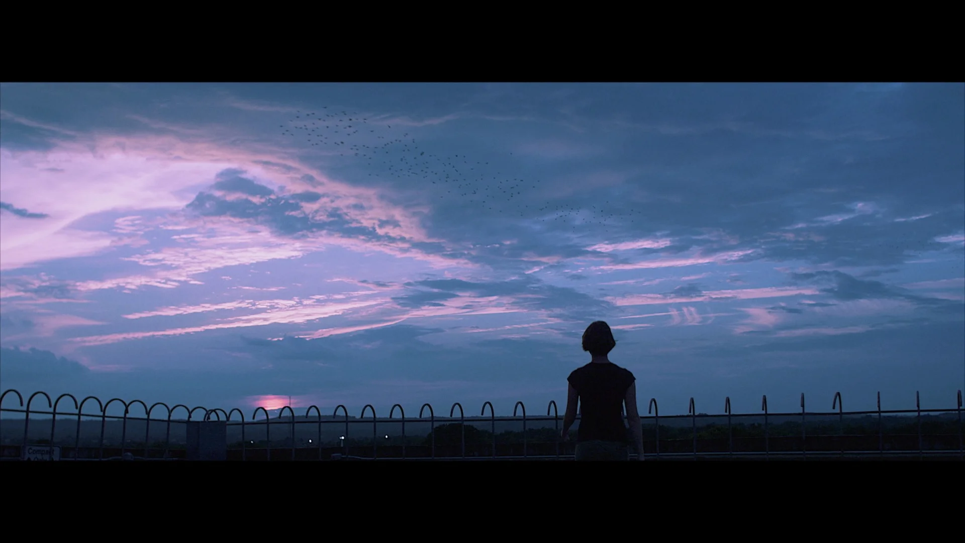 Sunset Wide Shot.jpg