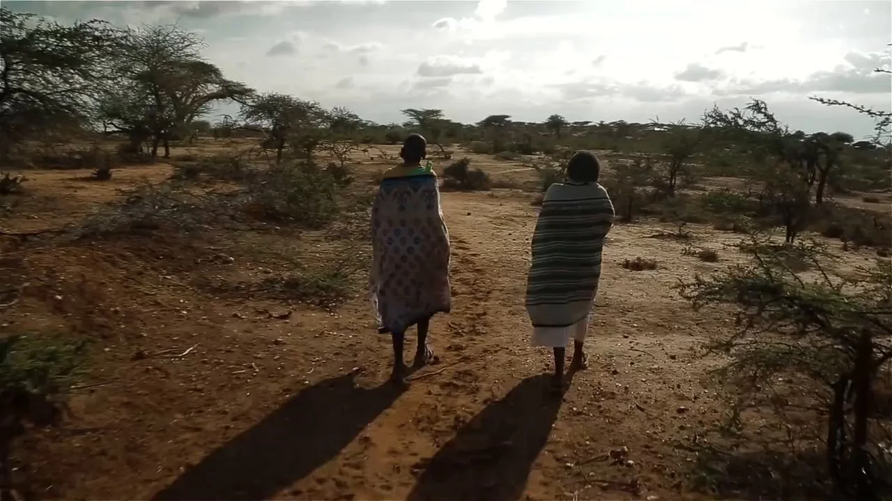 Walking Together: The experience of traditional and skilled birth attendants in rural Kenya
