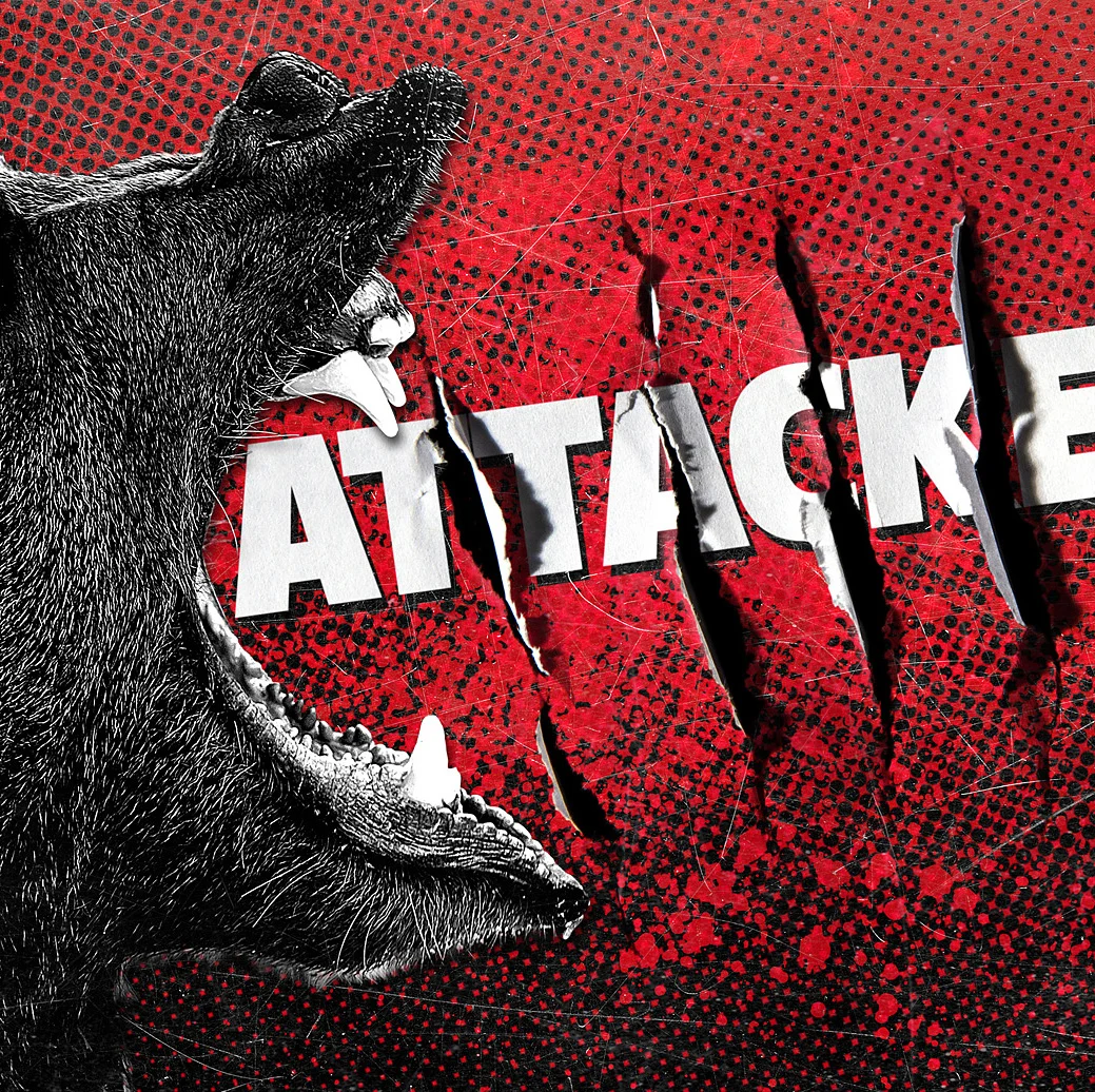 Attacked5.jpg