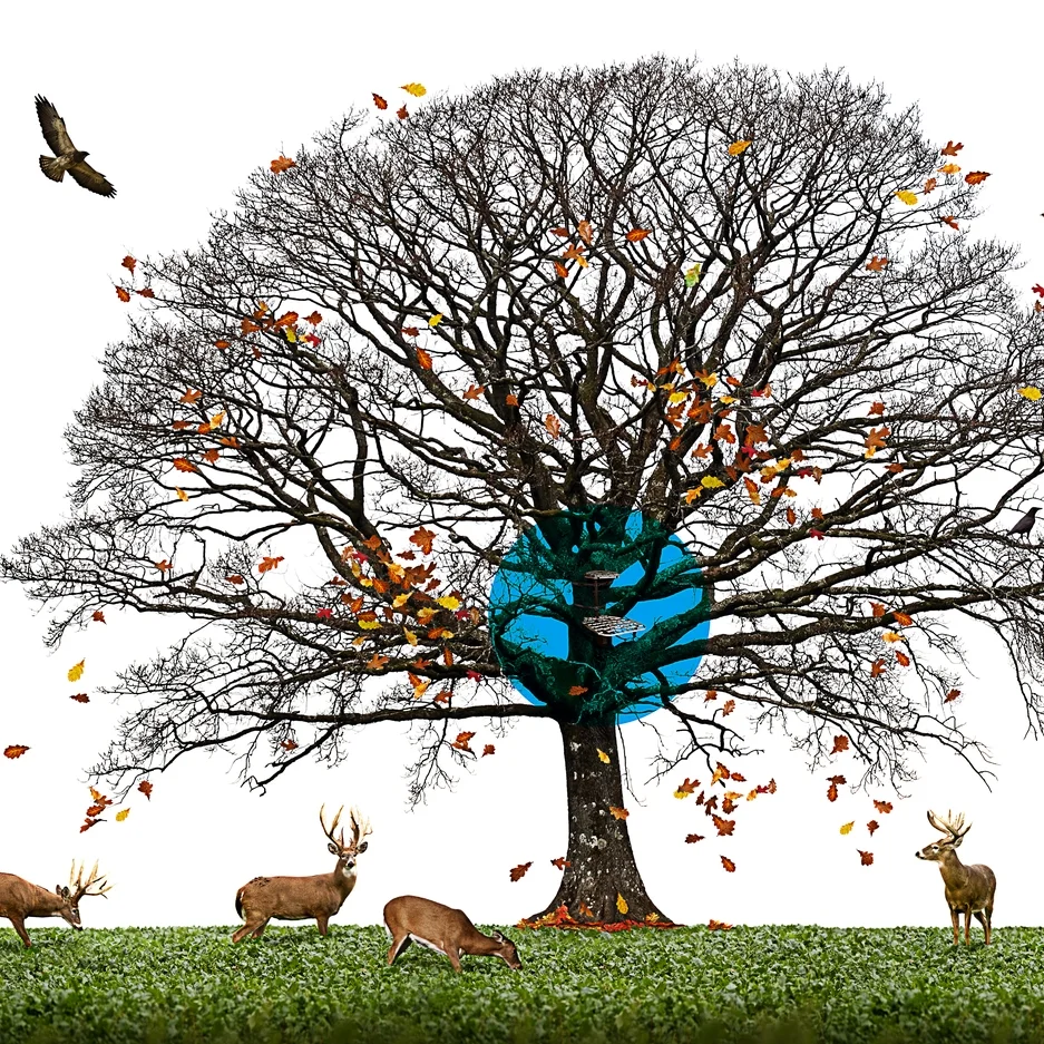 F&S Treestands.jpg