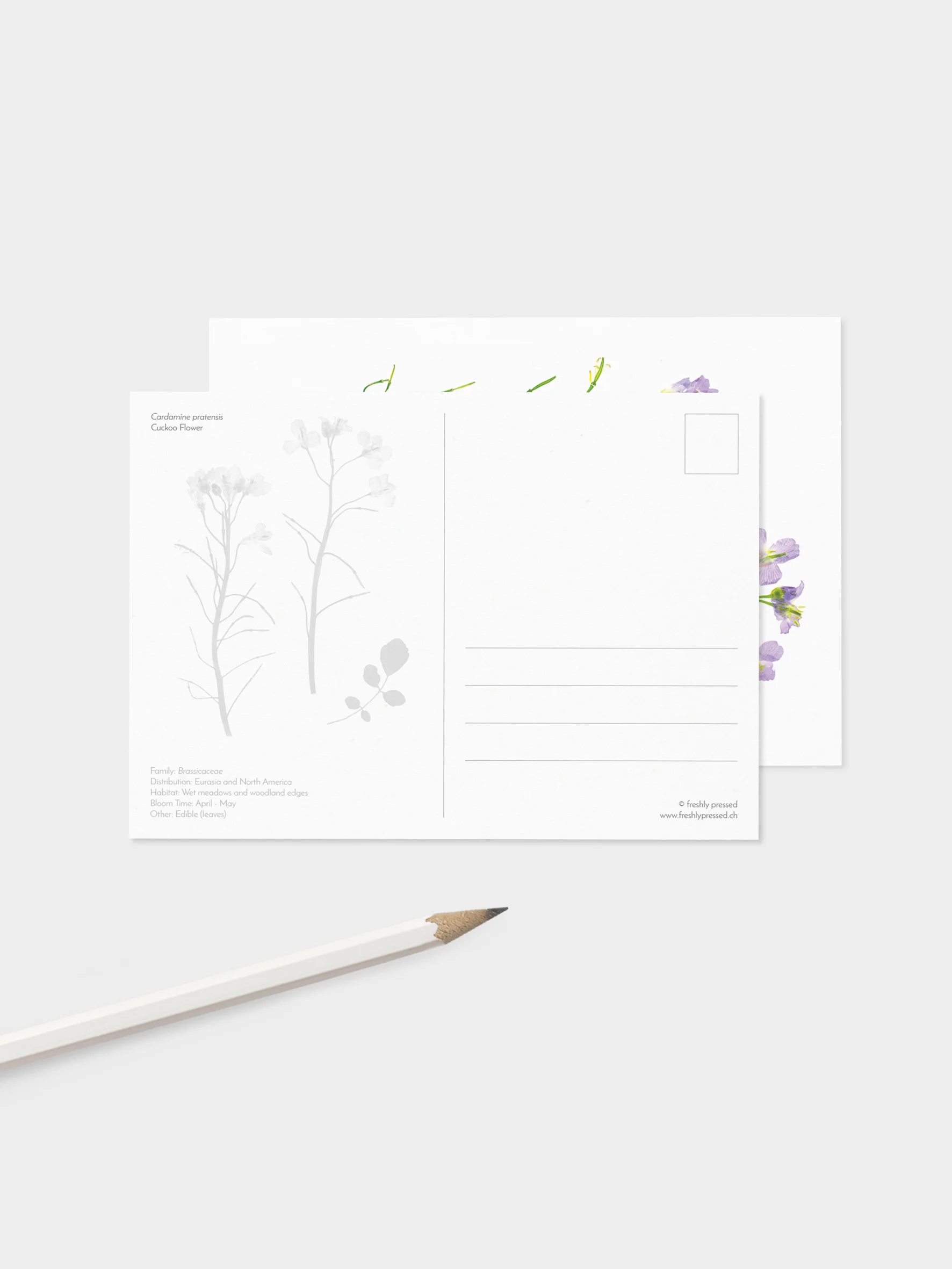 Meadow-set_Mockup-Flower_back.jpg