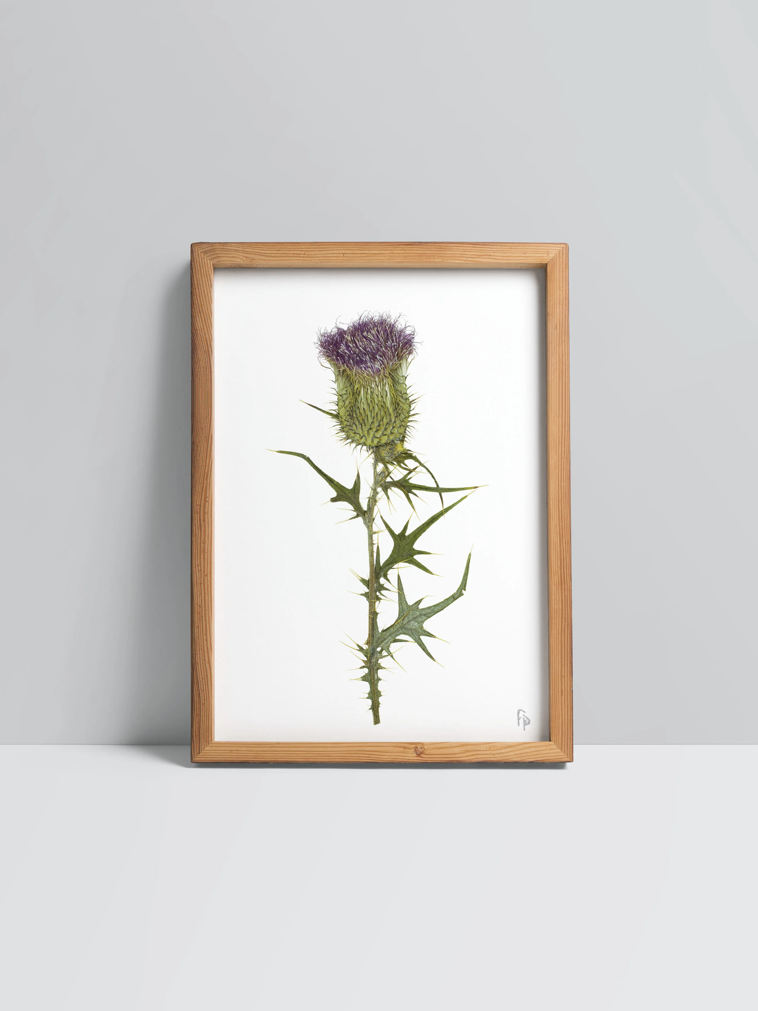 Prints_mock-up6.jpg