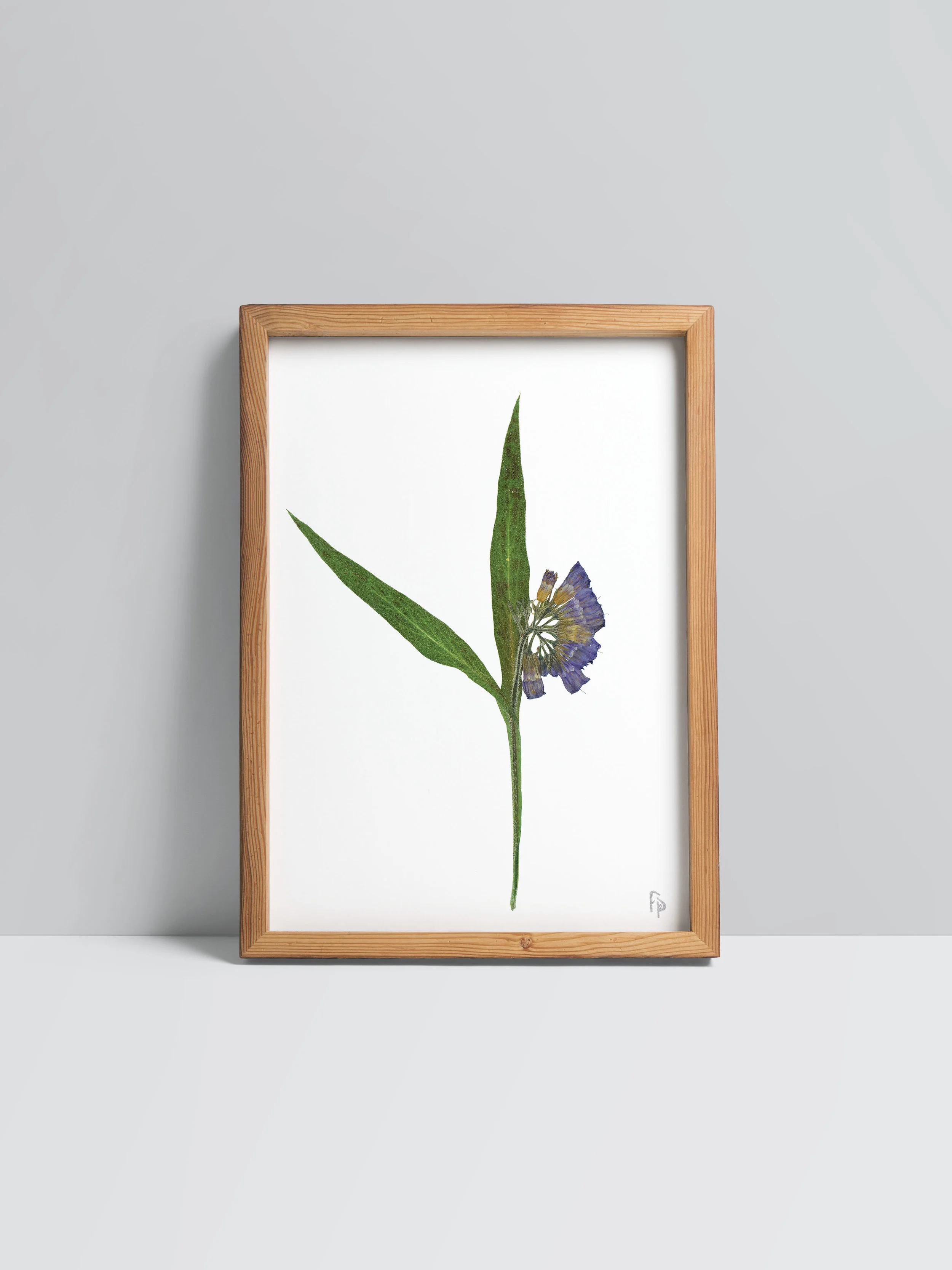 Prints_mock-up9.jpg