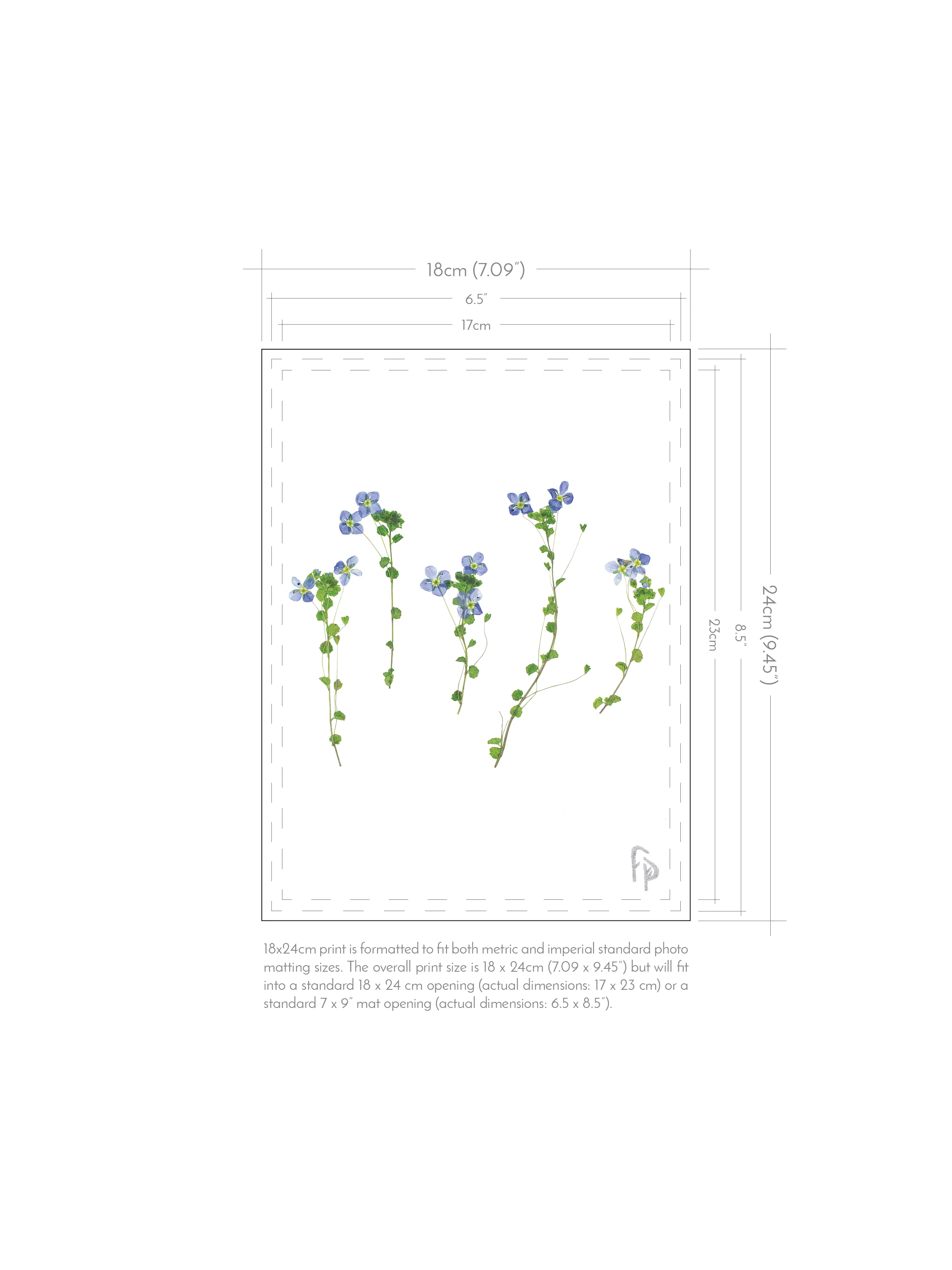 FP_Prints-with-dimensions_18x24.jpg