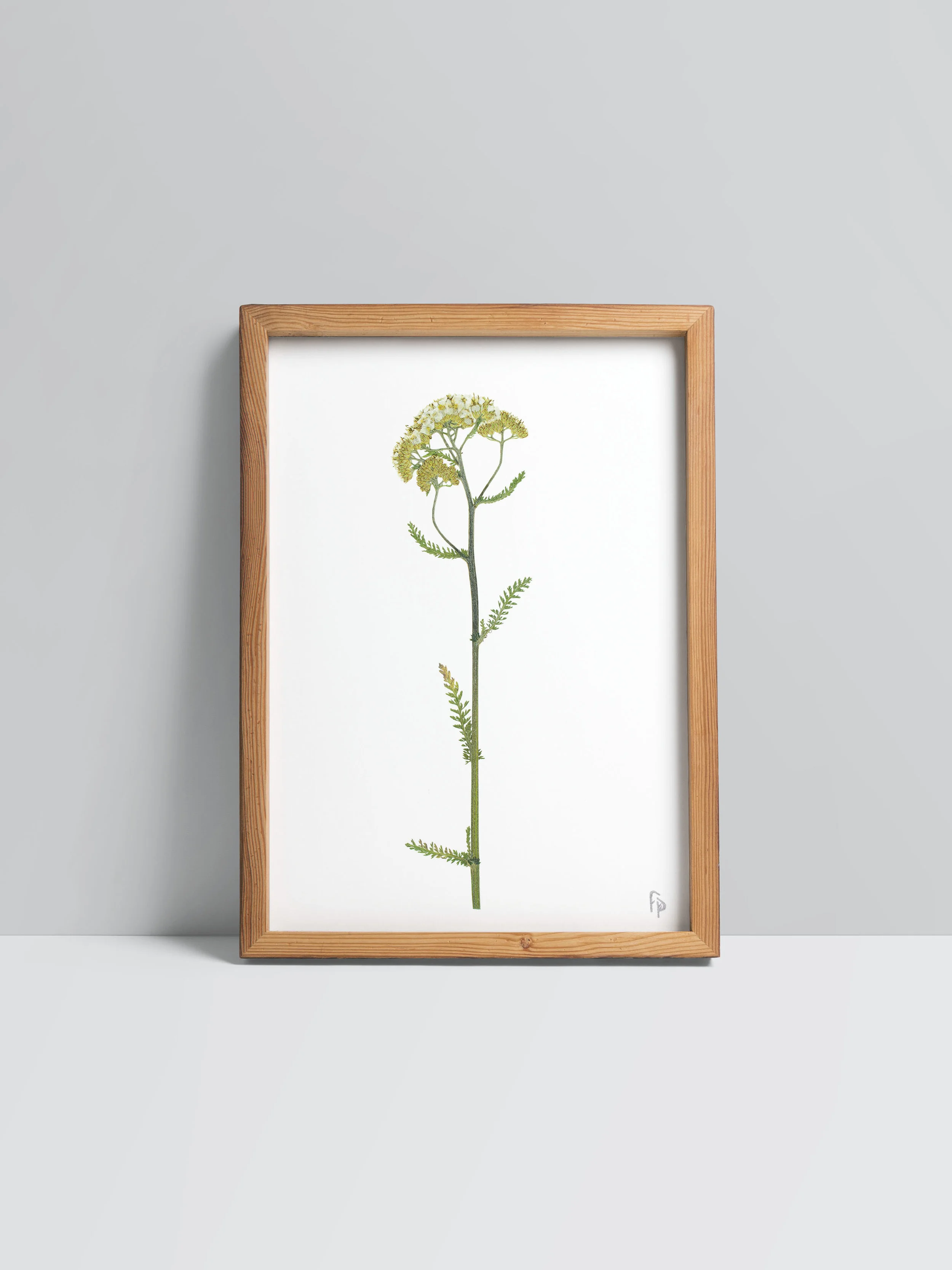 Prints_mock-up3.jpg