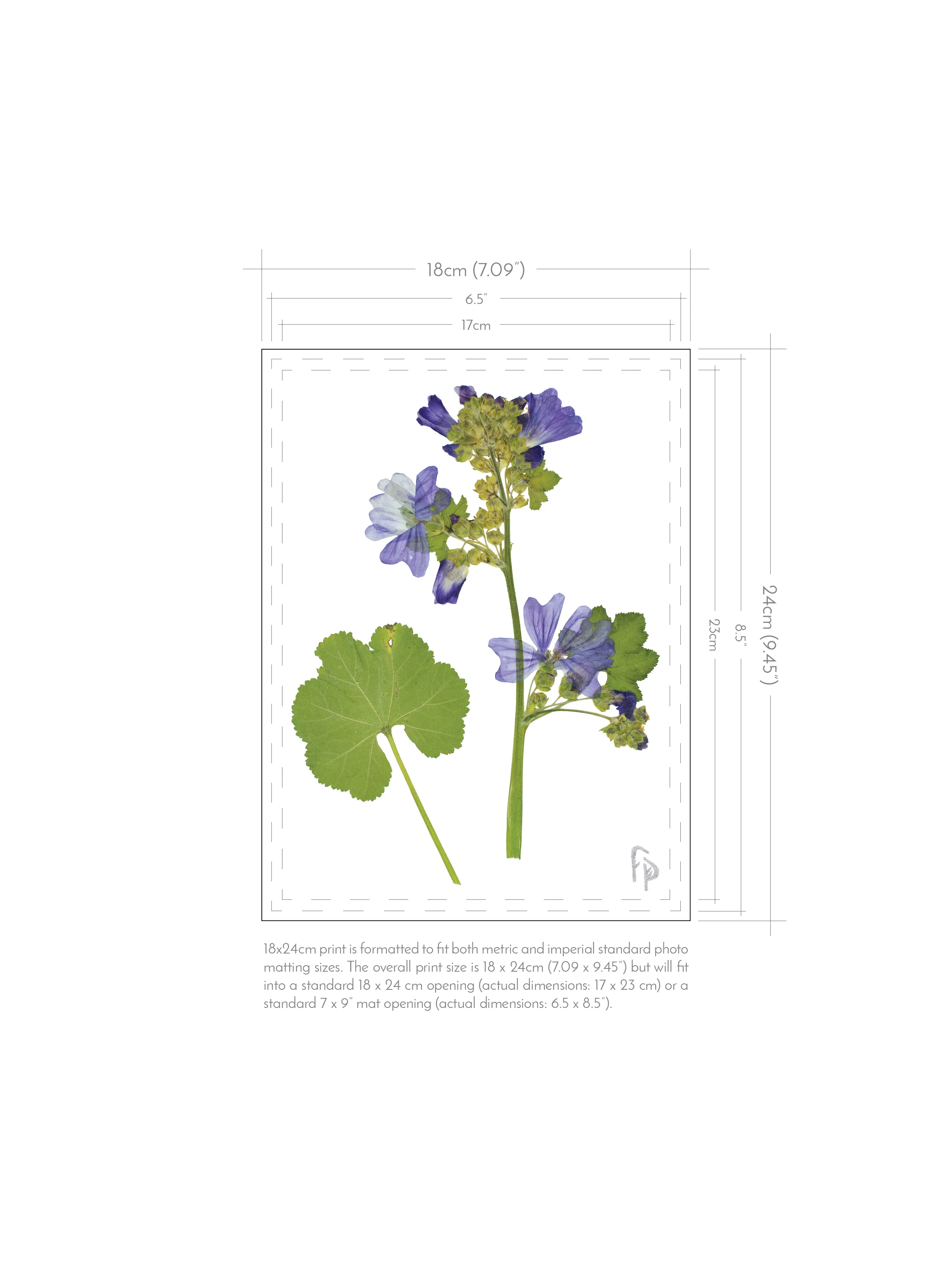 FP_Prints-with-dimensions_18x246.jpg