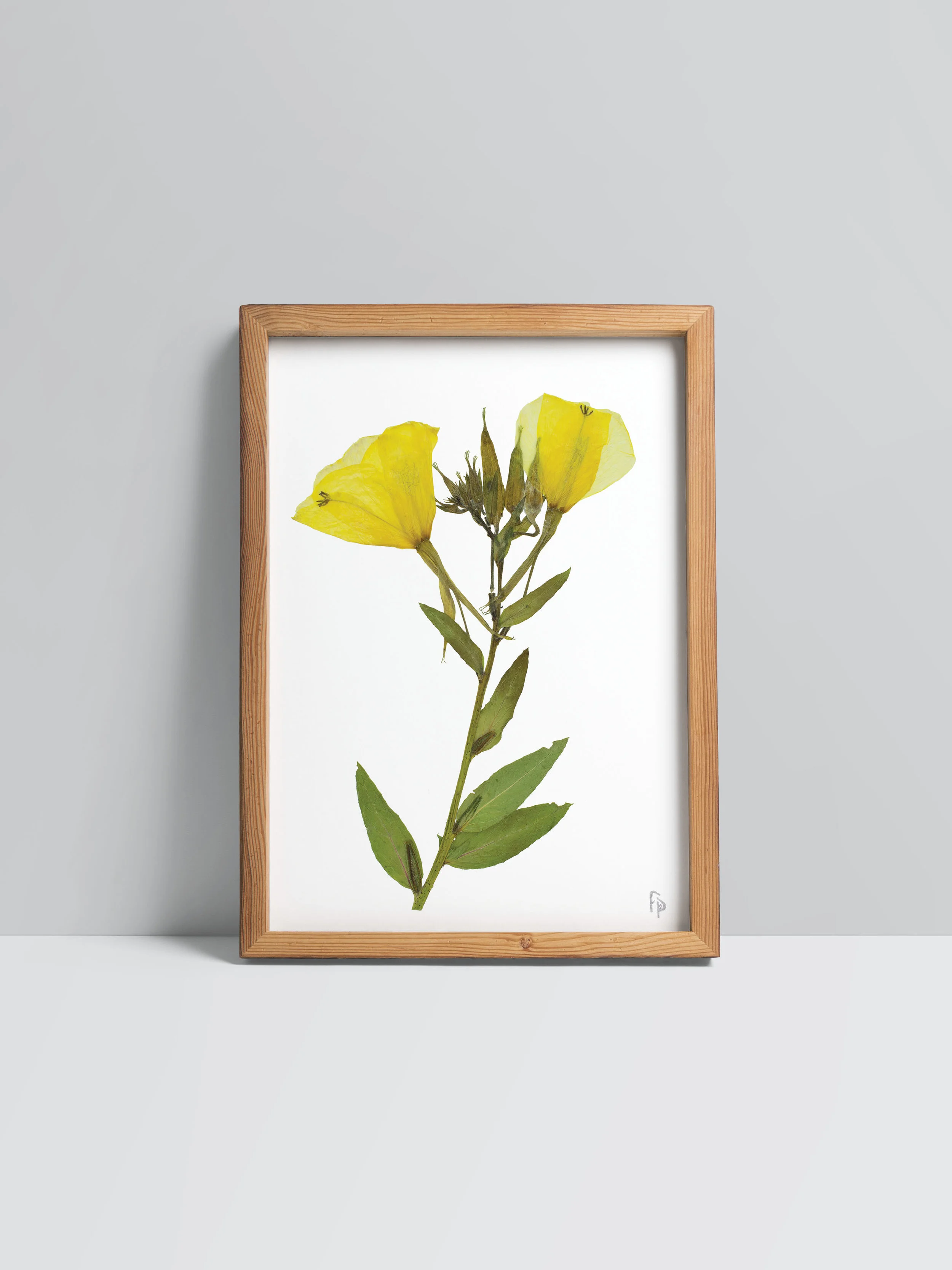 Prints_mock-up8.jpg