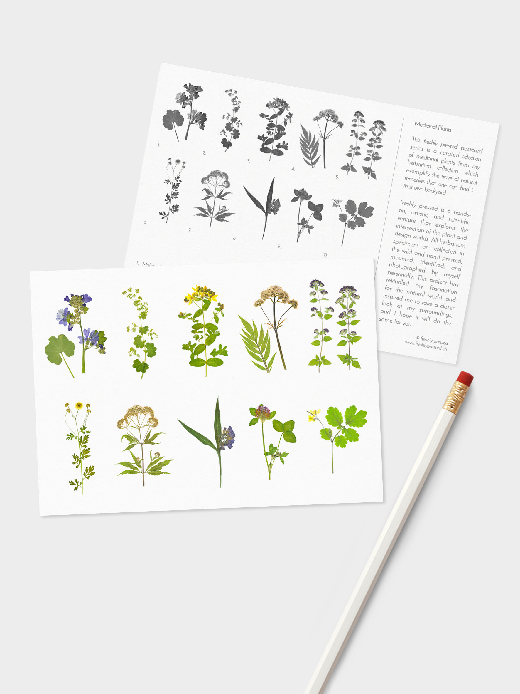 Medicinal-set_Mockup-Front.jpg