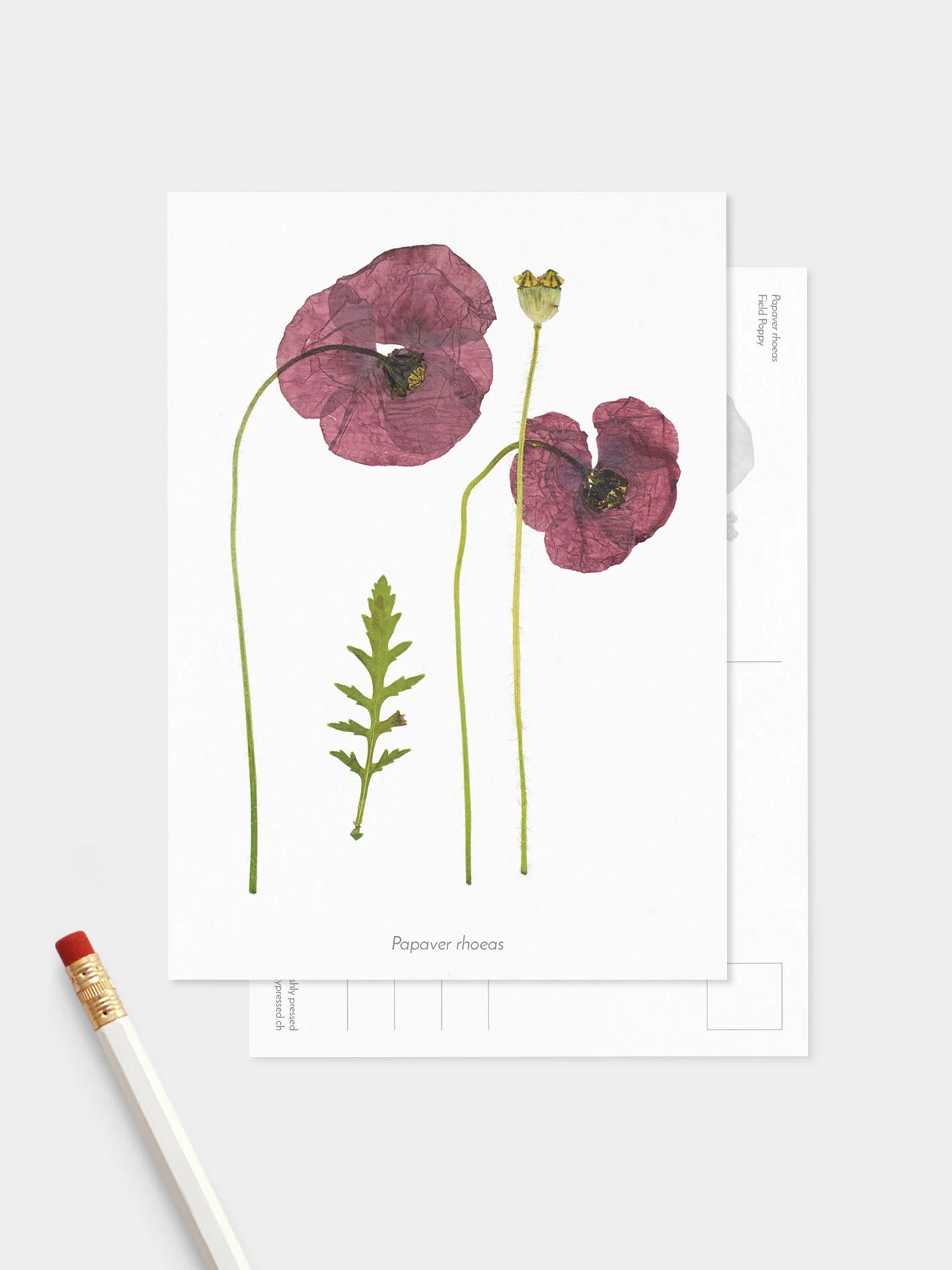 Symbolic-set_Mockup-Flower.jpg