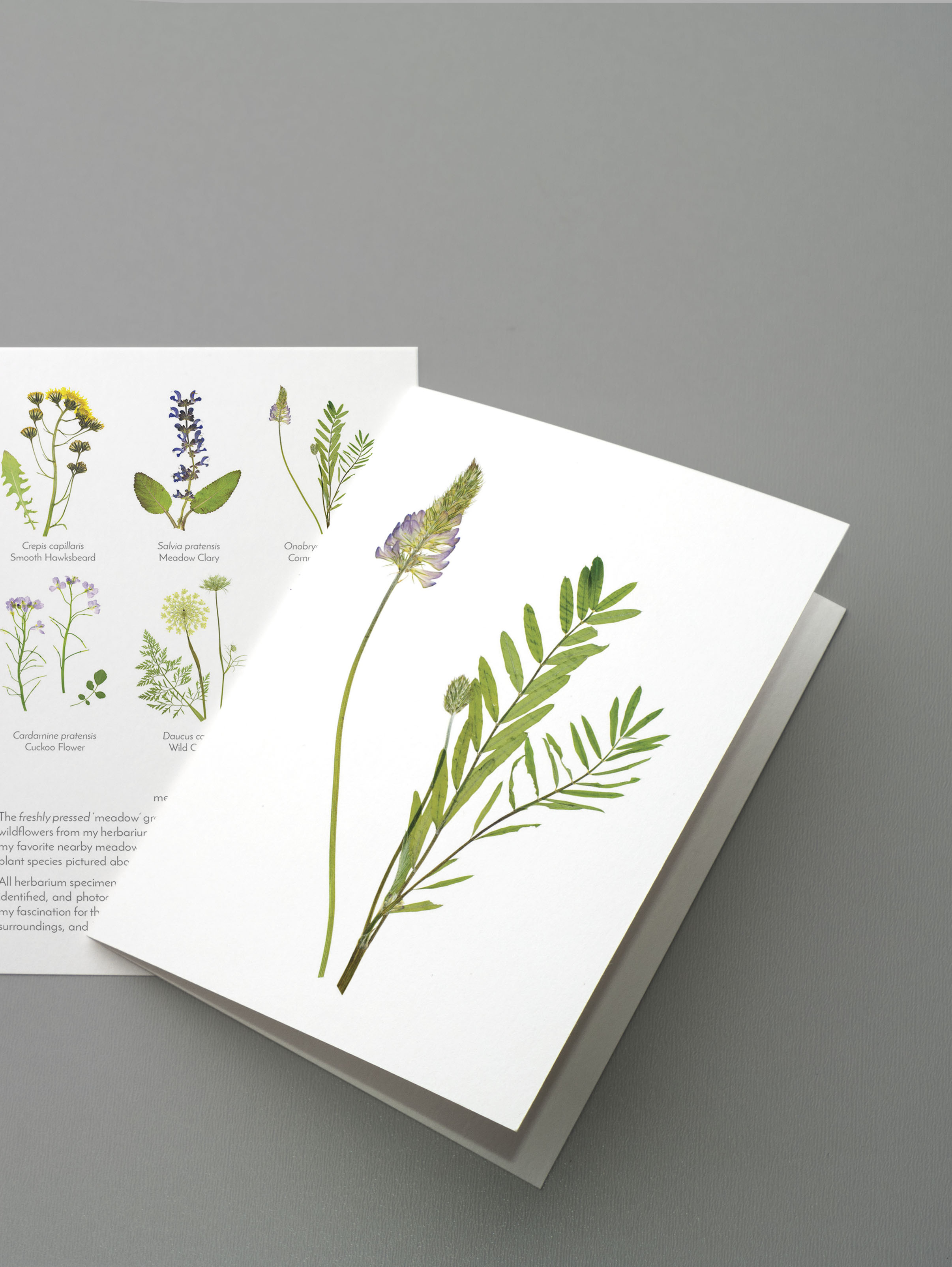 Meadow greeting card set