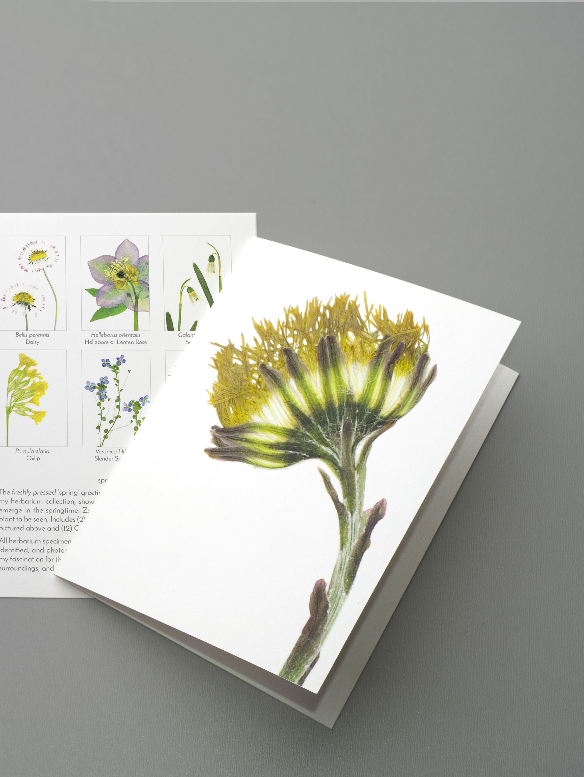 Spring greeting card set