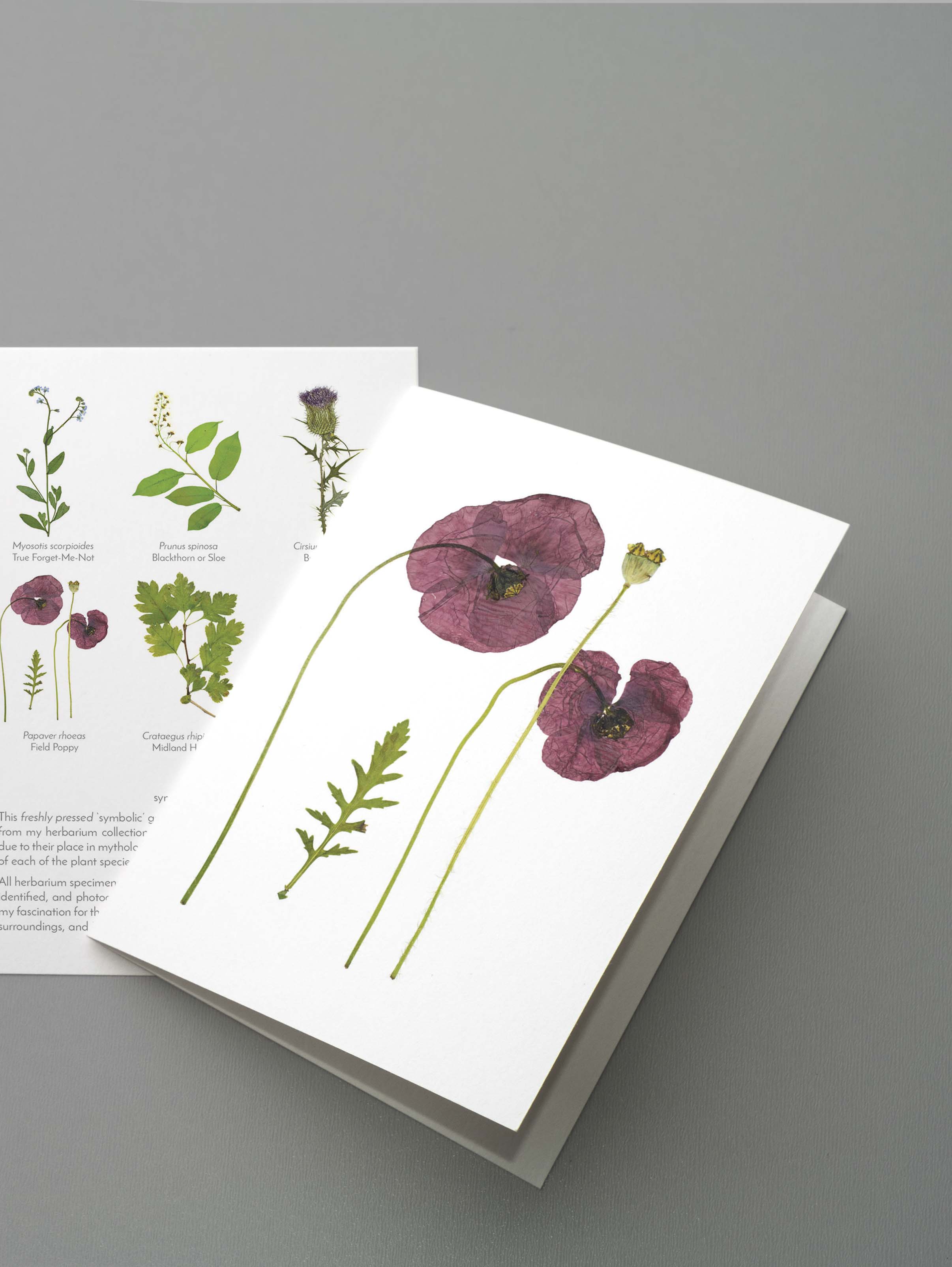Symbolic_Mockup1c.jpg