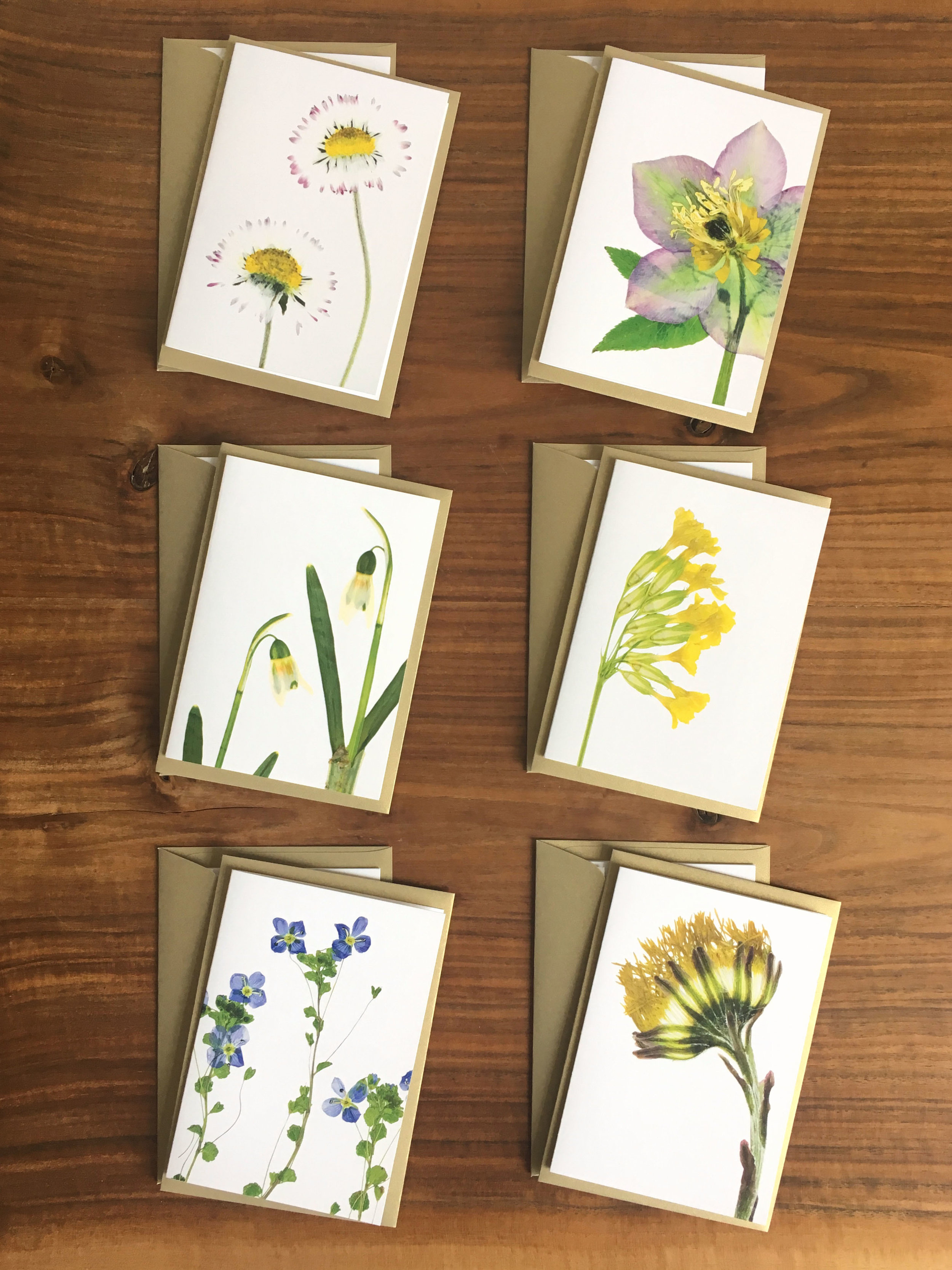Spring greeting card set — freshly pressed