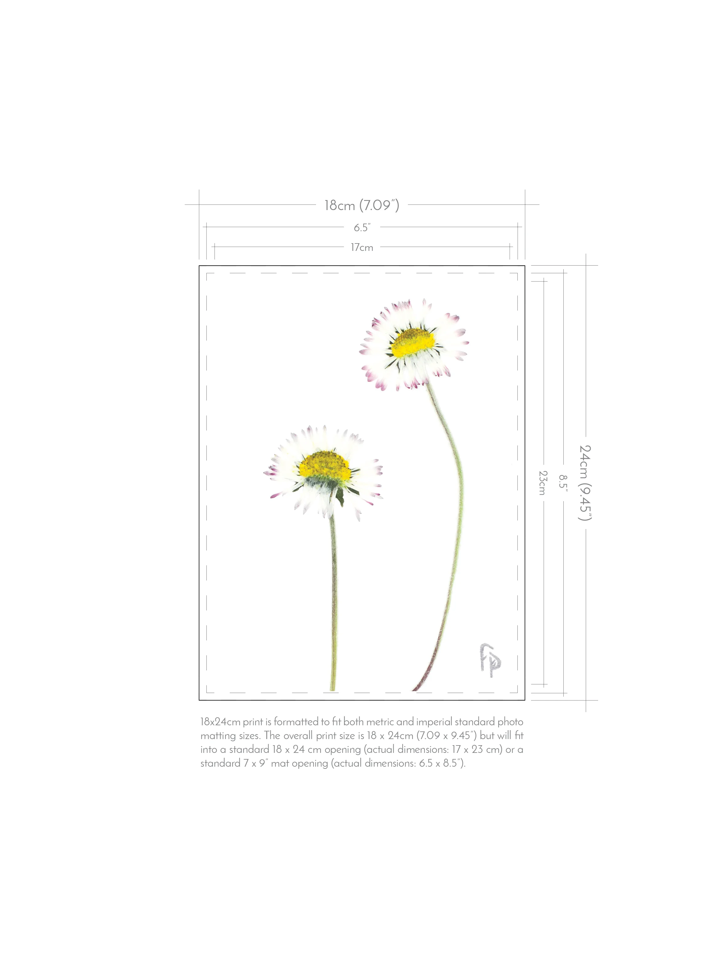 FP_Prints-with-dimensions_18x24_new2.jpg
