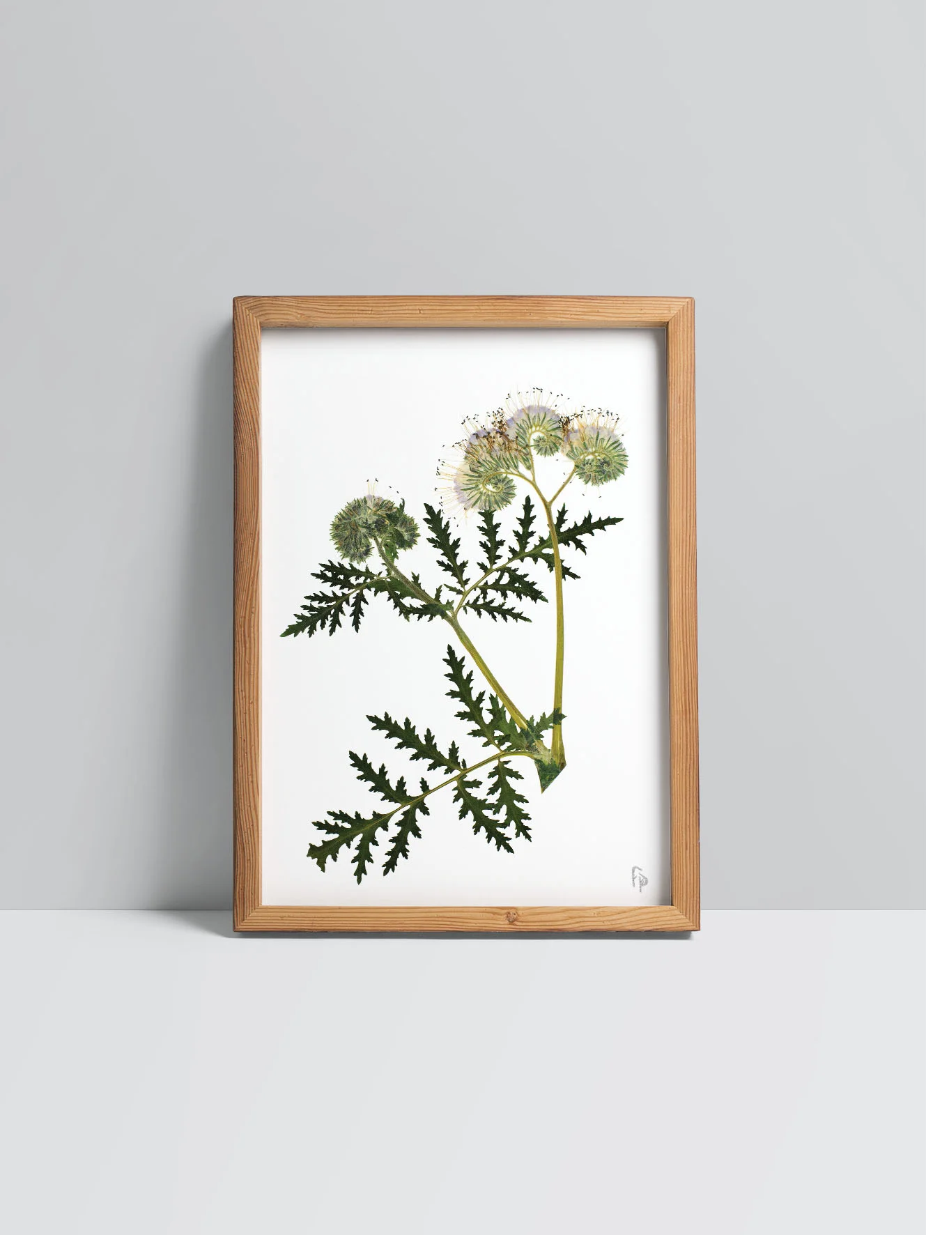 Prints_mock-up12.jpg