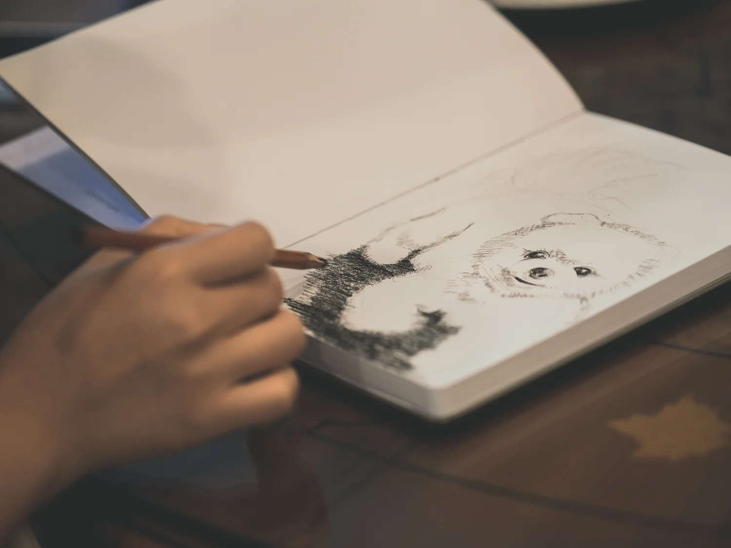 pomeranian-art-drawing.jpg