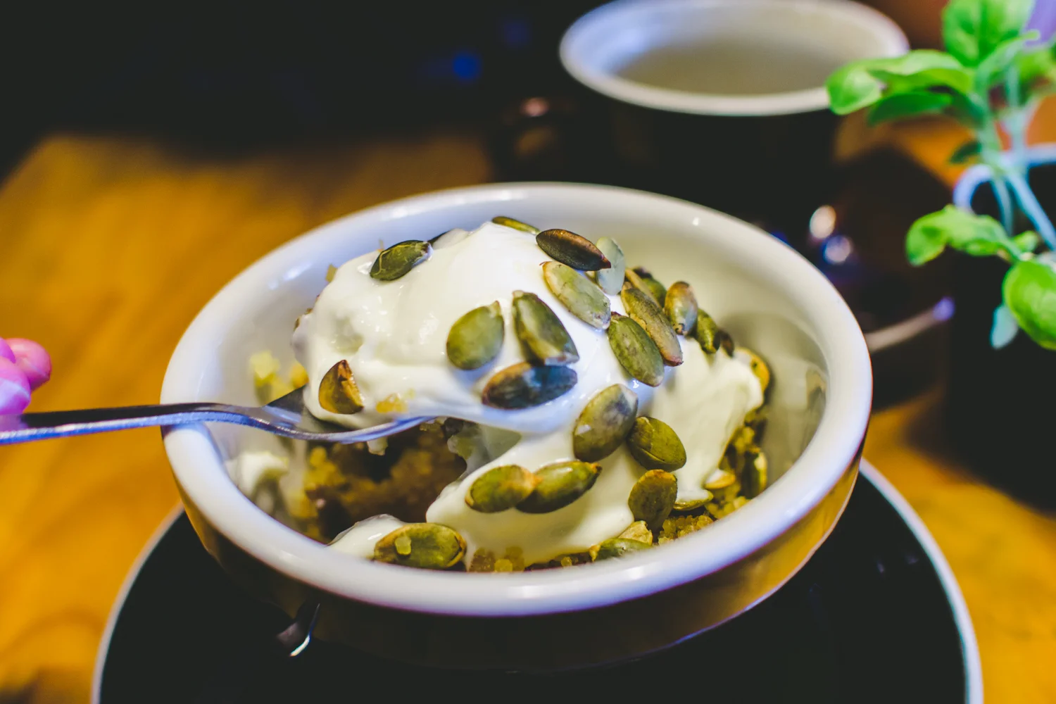 Modinetti Morning: Orange infused couscous with honey, dates, currants, dry roasted almonds served warm with yoghurt and toasted pepitas - $9