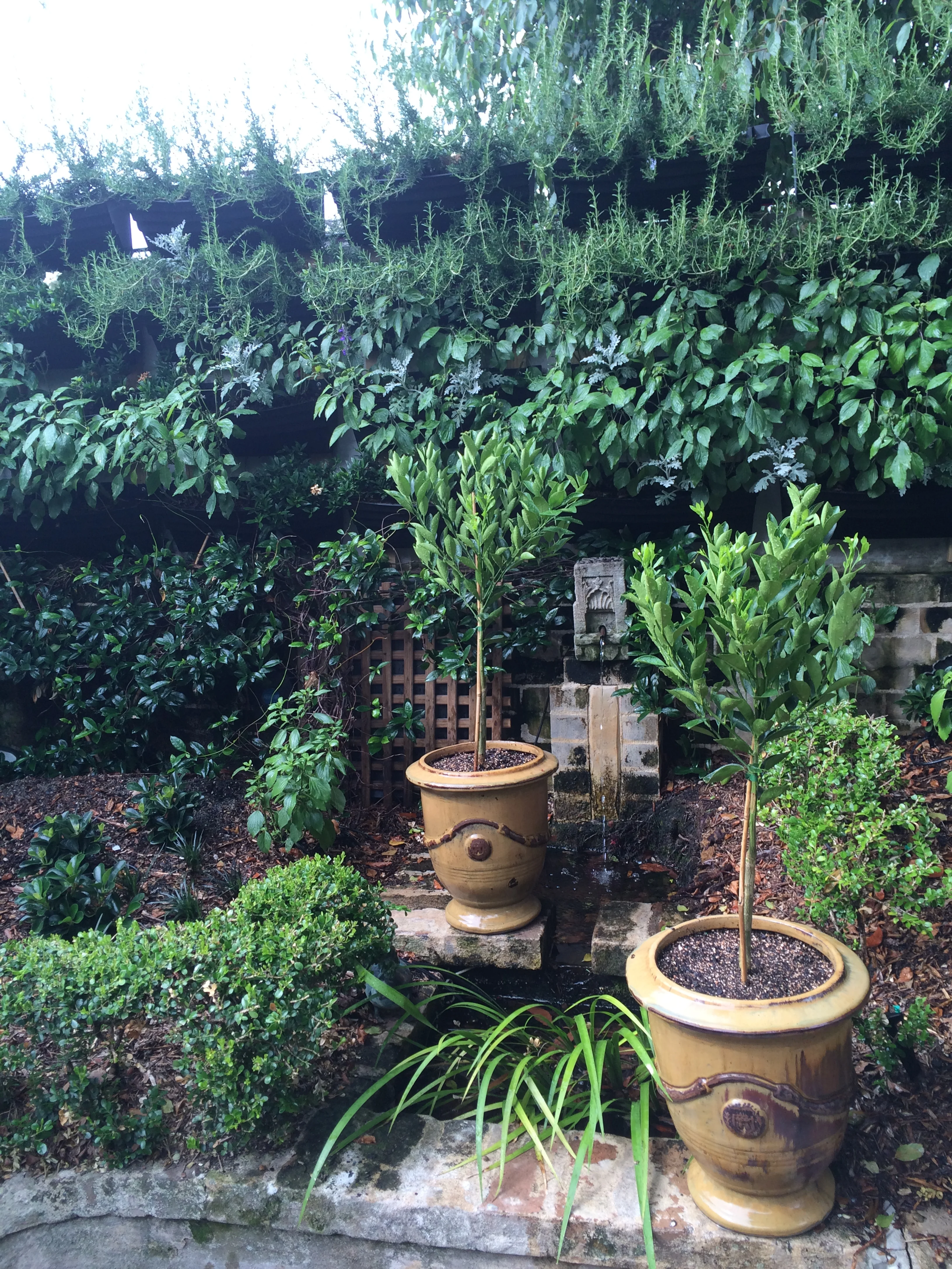 Wall Garden installation in a small terrace garden