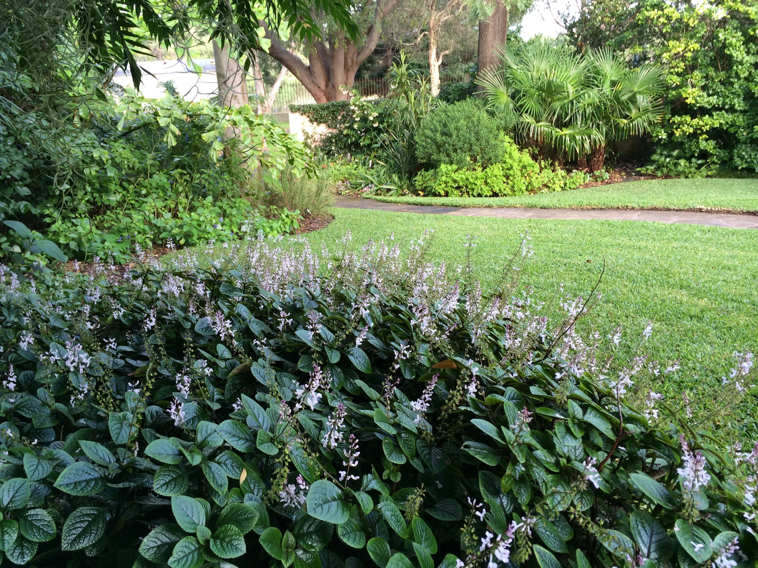 Parkland Garden