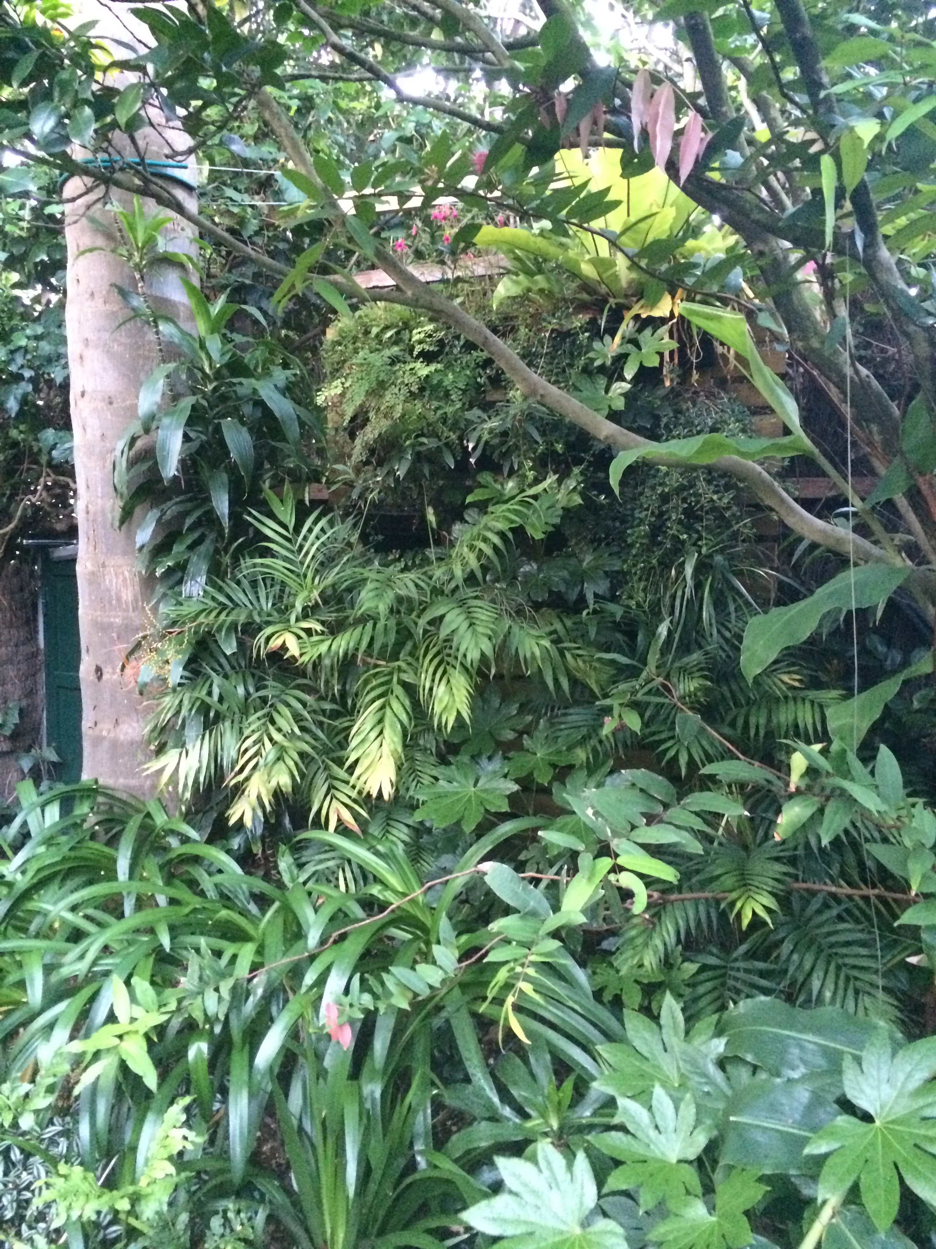 Wall garden installation