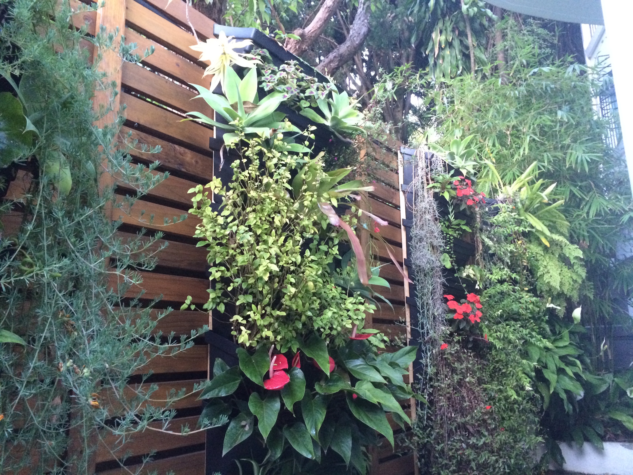 Wall garden installation on fence line