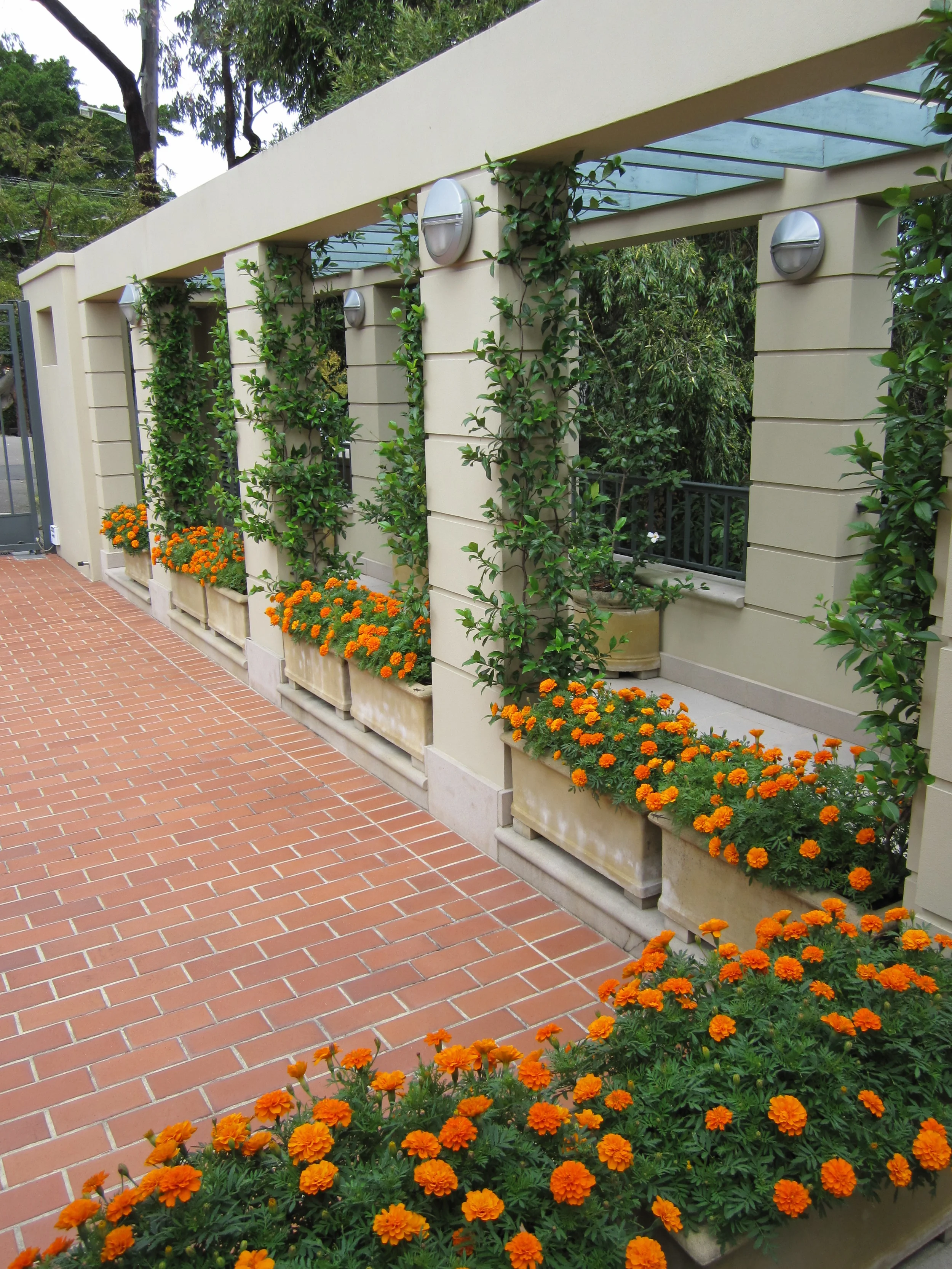 Potted entry garden