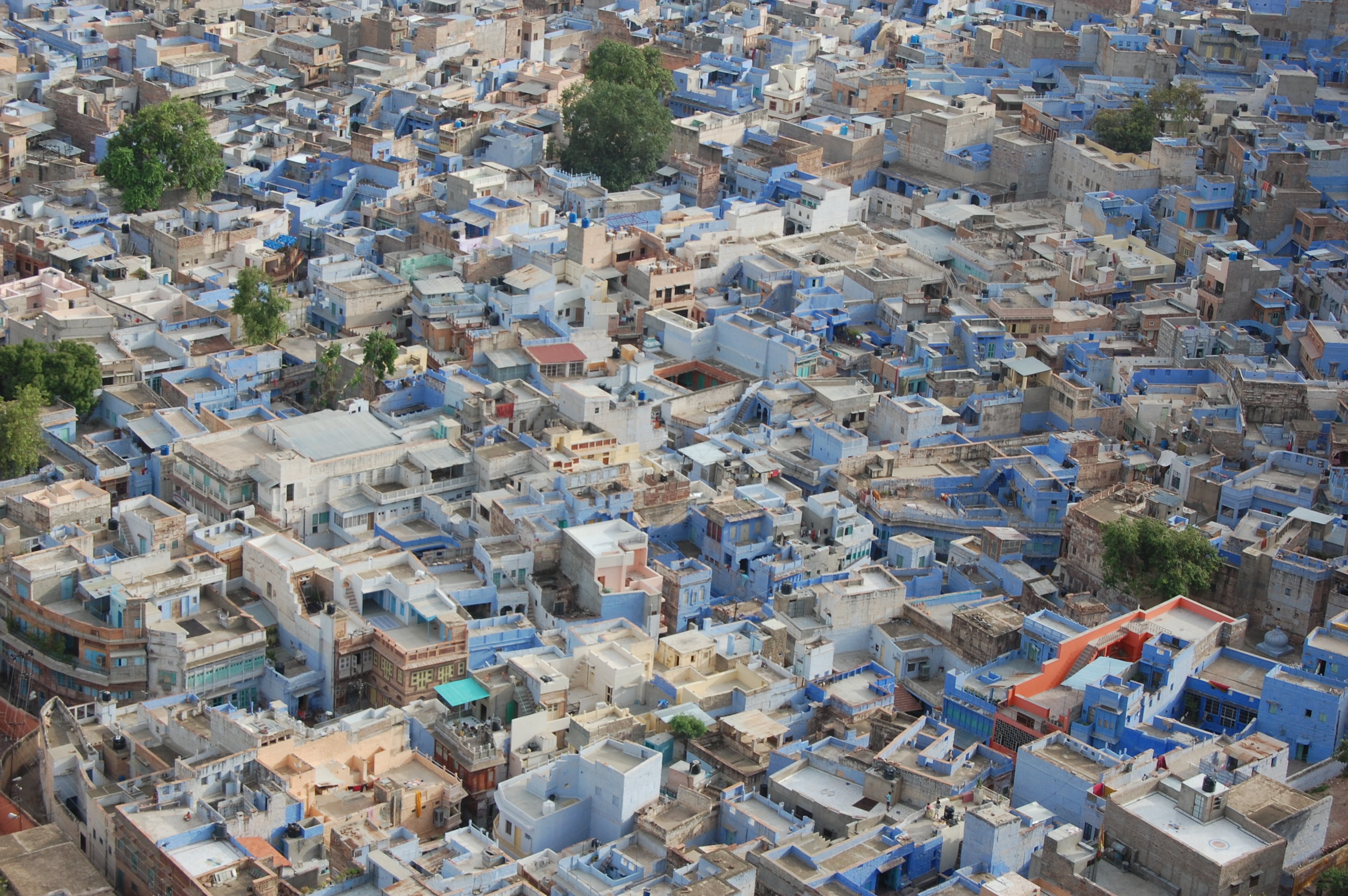 2 Jodhpur - Blue and Orange.JPG