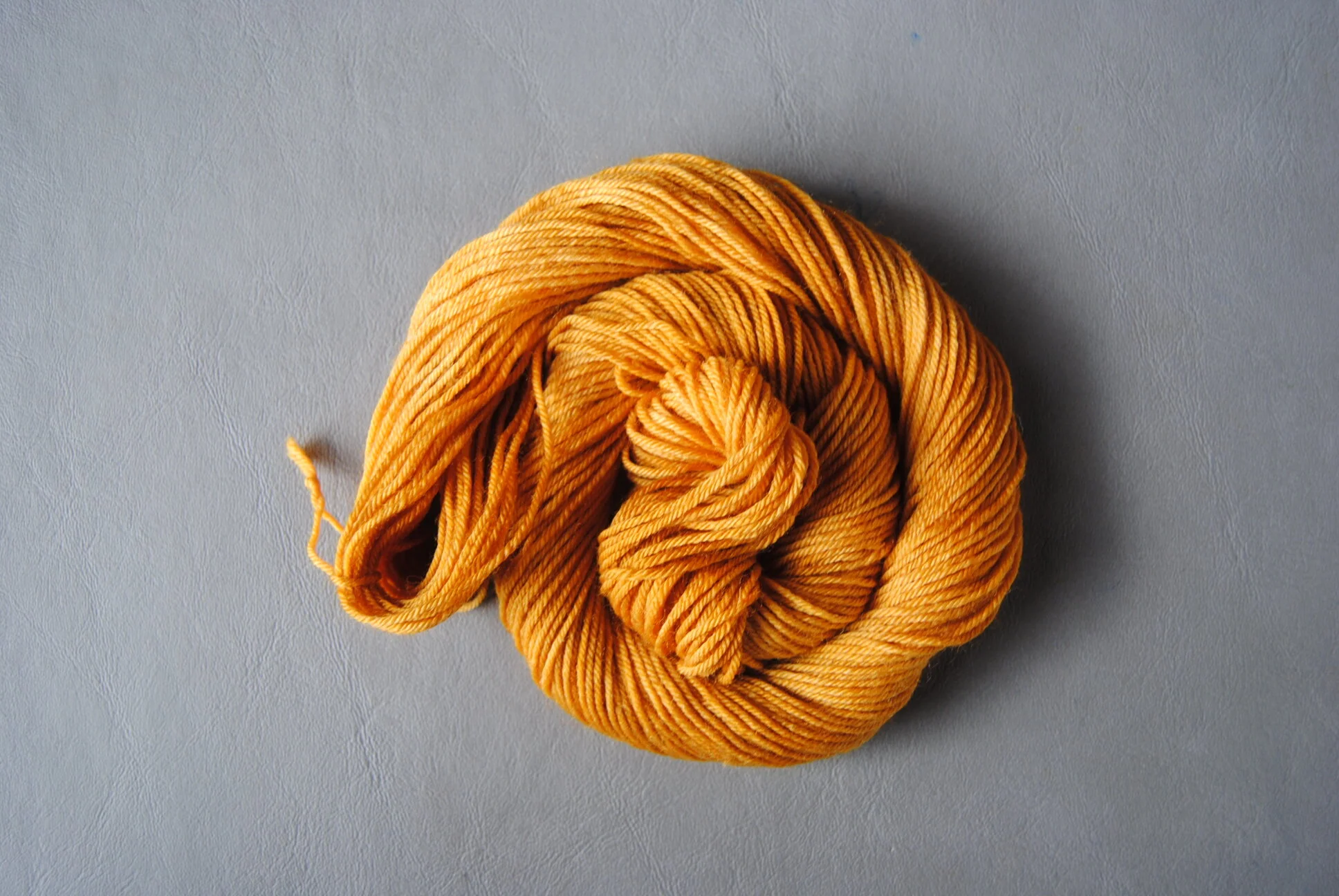 butternut2.JPG