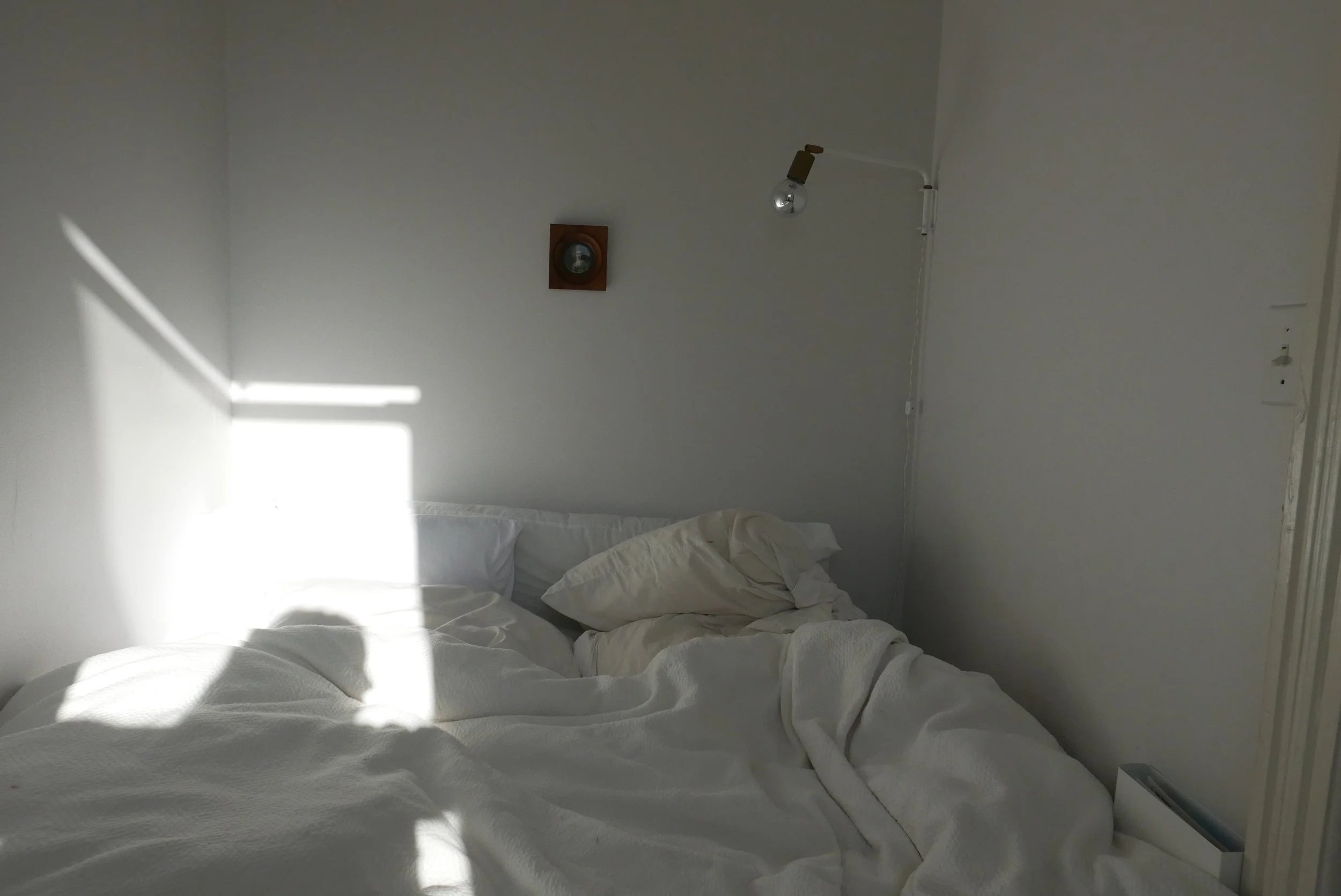 L1030466.jpg