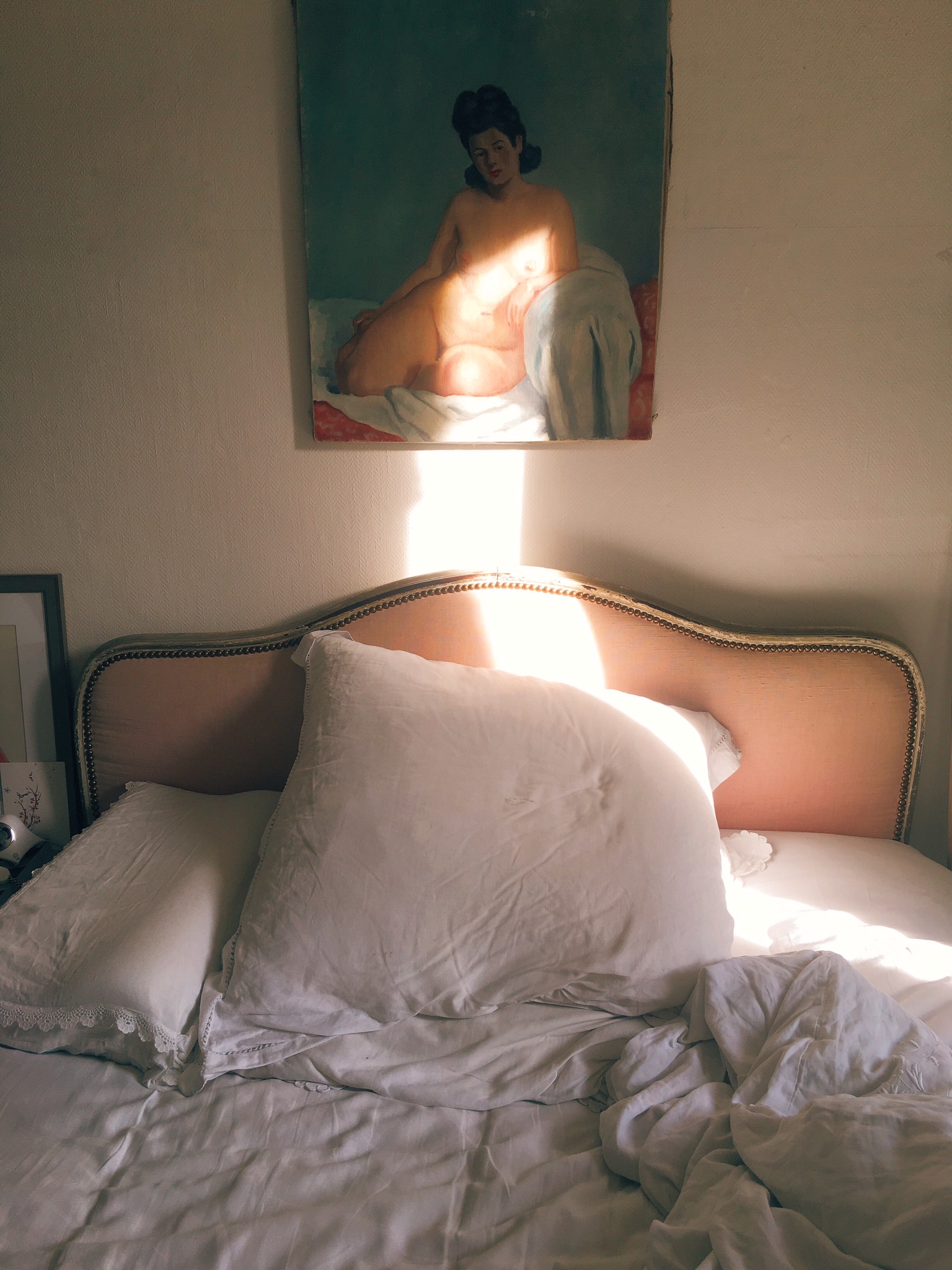 2658A678-0EFB-4B3B-A978-61DF99D15085.jpeg