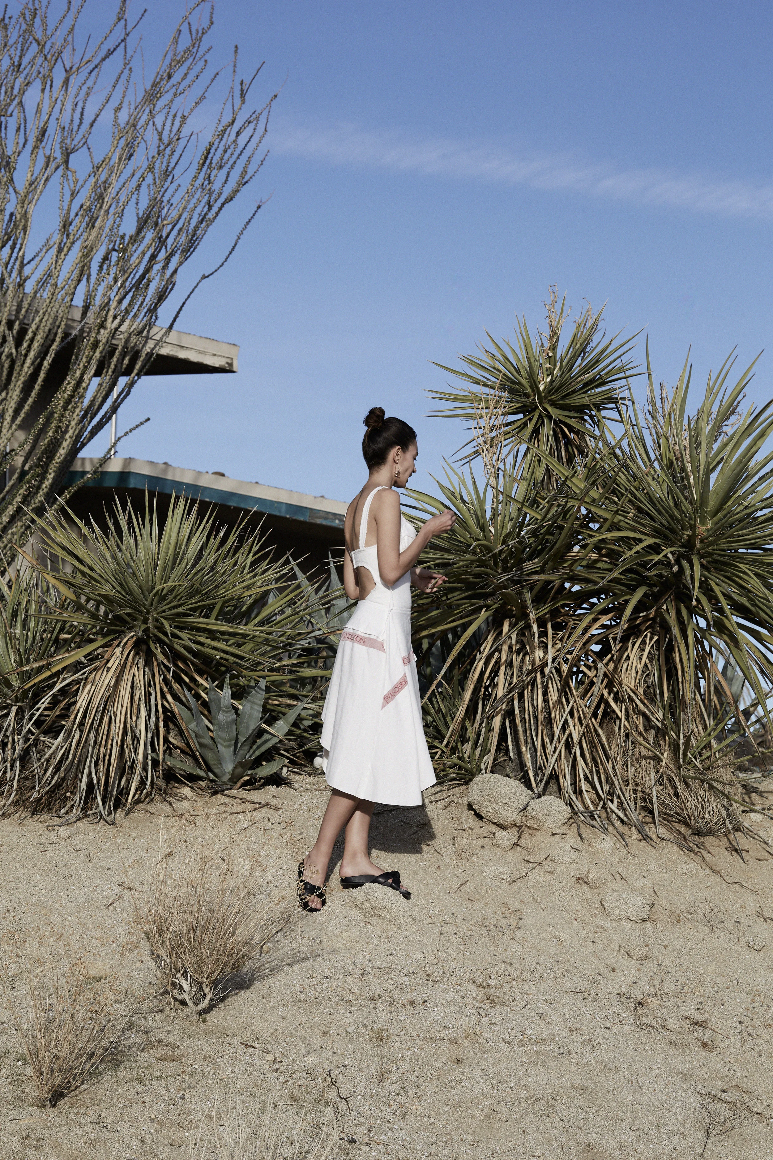 FF-YUCCA -181425n copy.jpg