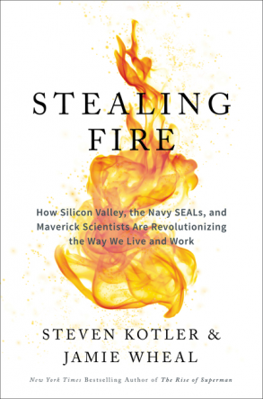 Written by Steven Kotler & Jamie Wheal. A body of research on peak states and flow.