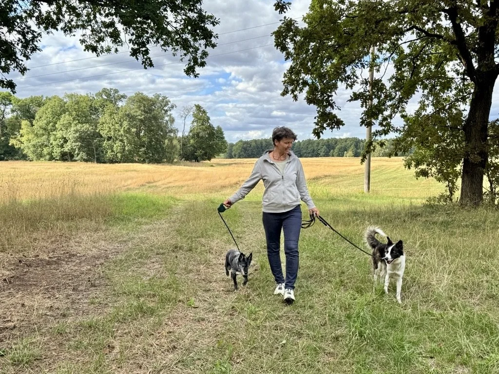 ChatGPT-Bild 6. Okt. 2026, 01_56_14.jpg