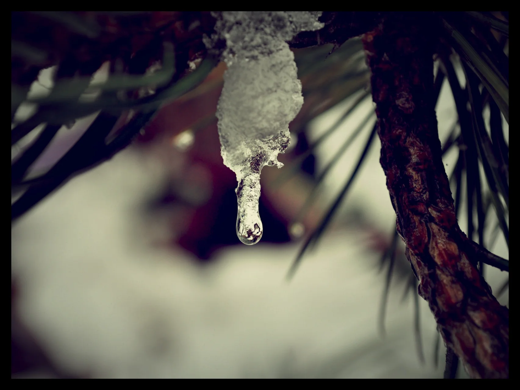 DSC_0368_edit.jpg